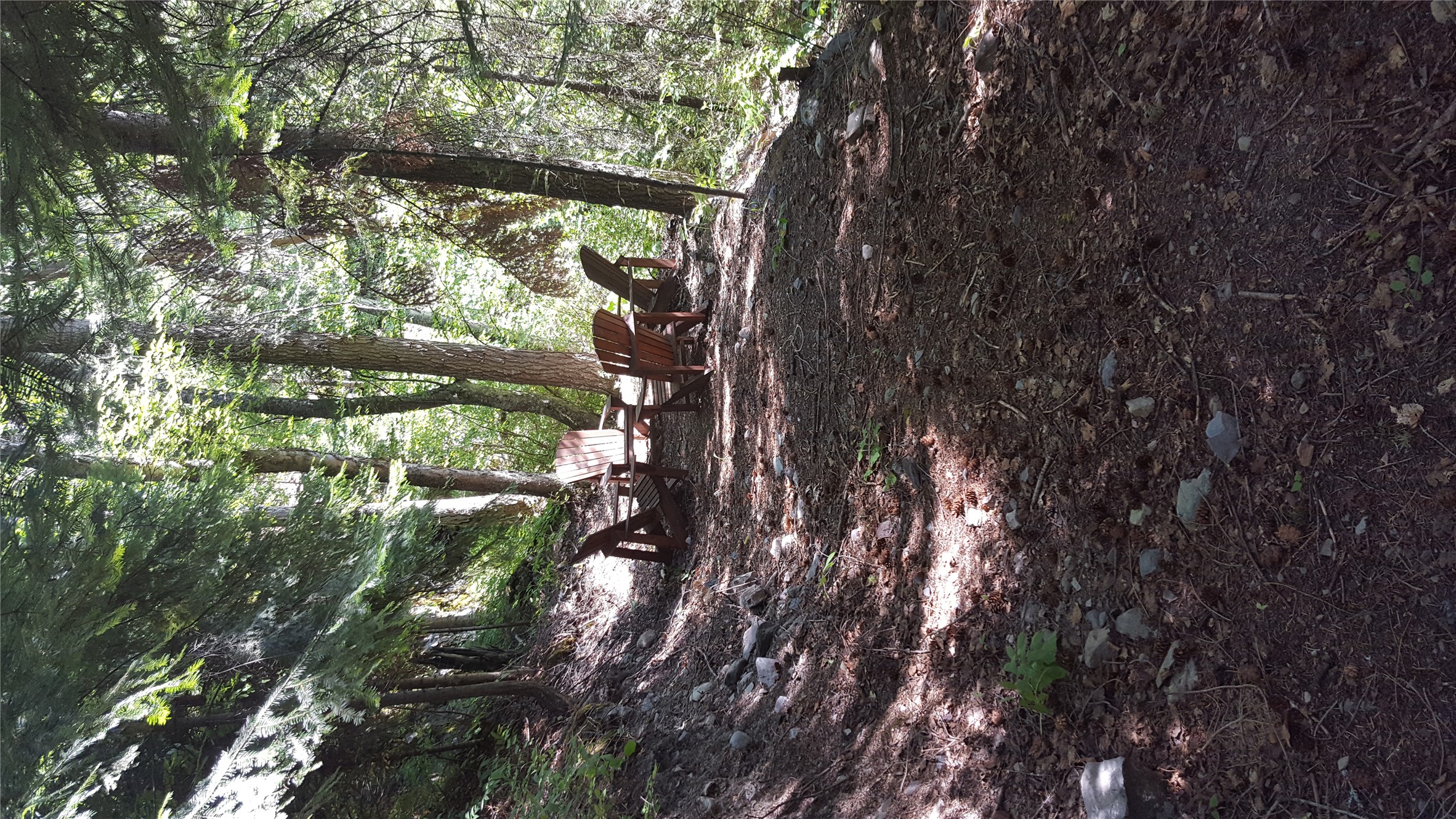 32054 Birch Tree Drive Property Photo 73