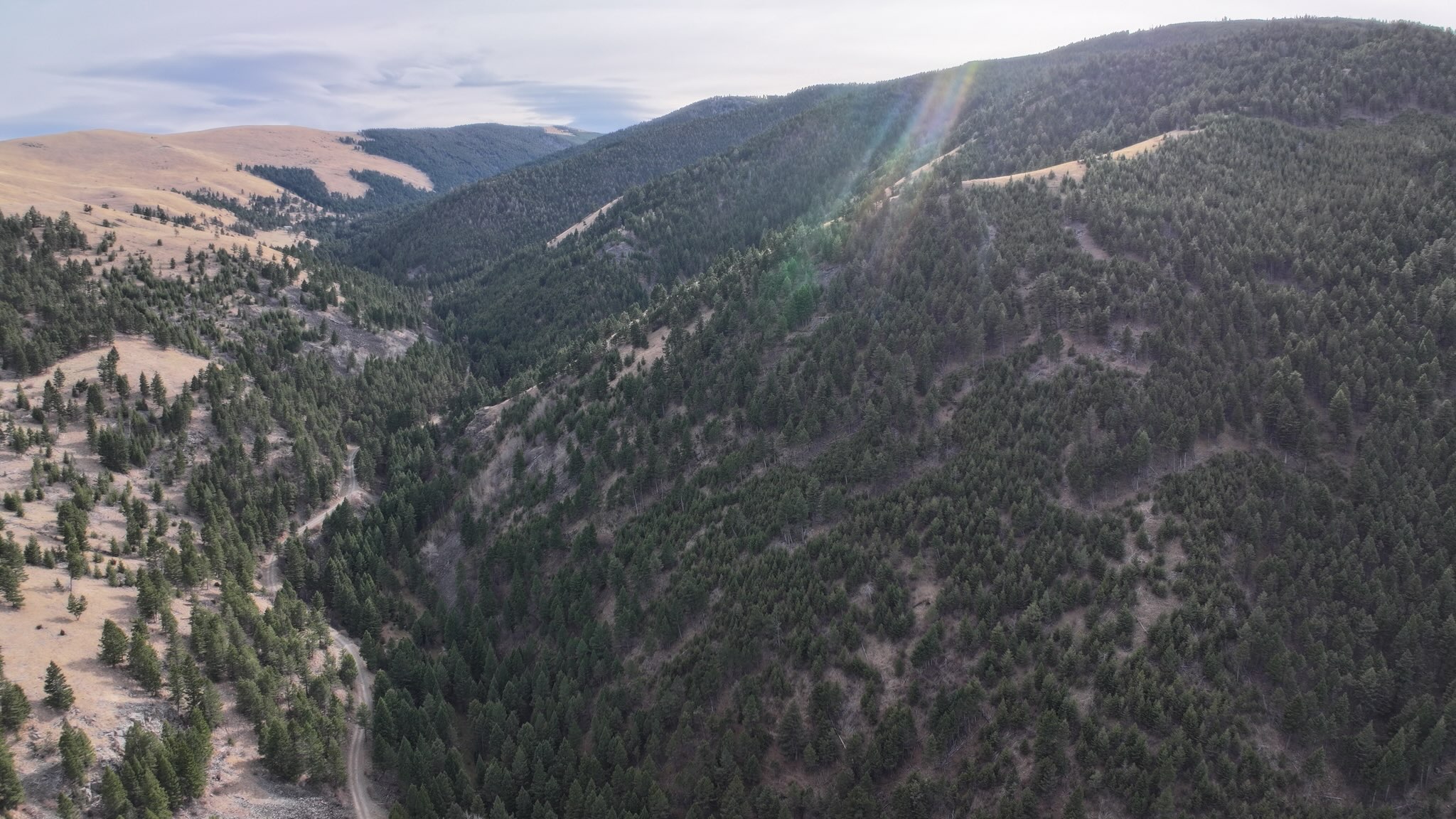 Tbd Weasel Creek Road Property Photo 2