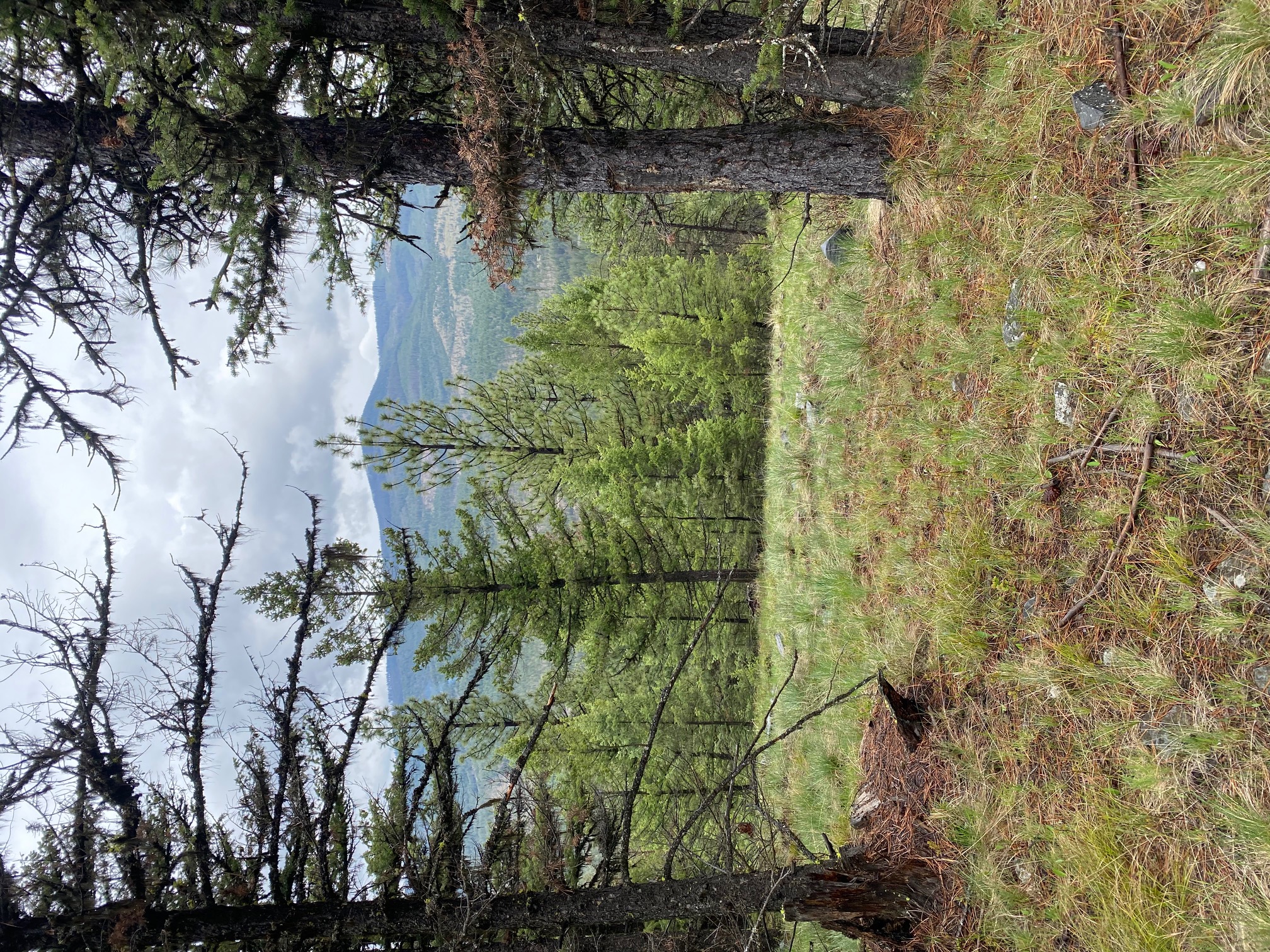 1444 Haskill Ranch Road Property Photo