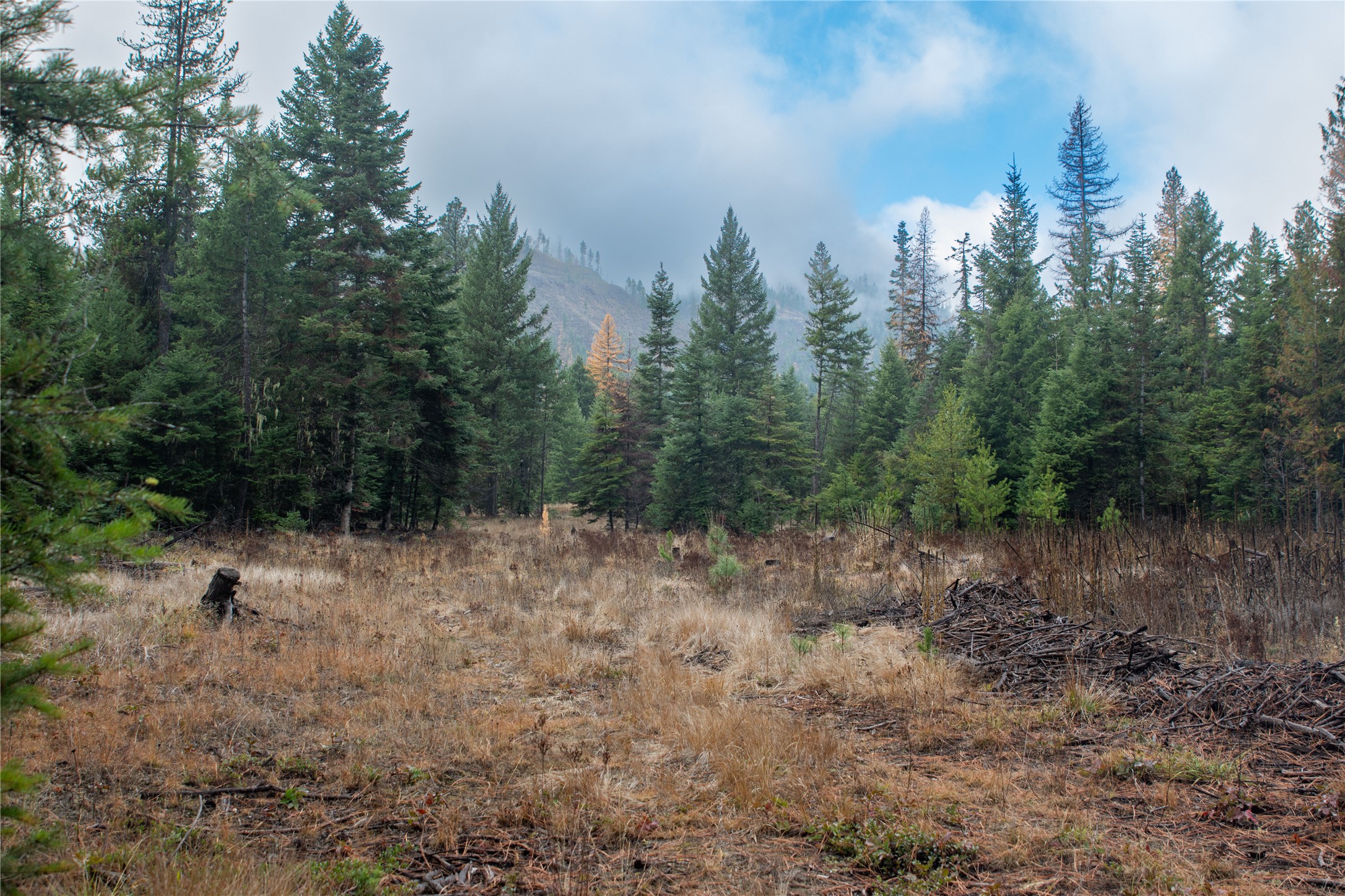 Tbd Rabbit O'brien Creek Road Property Photo 4