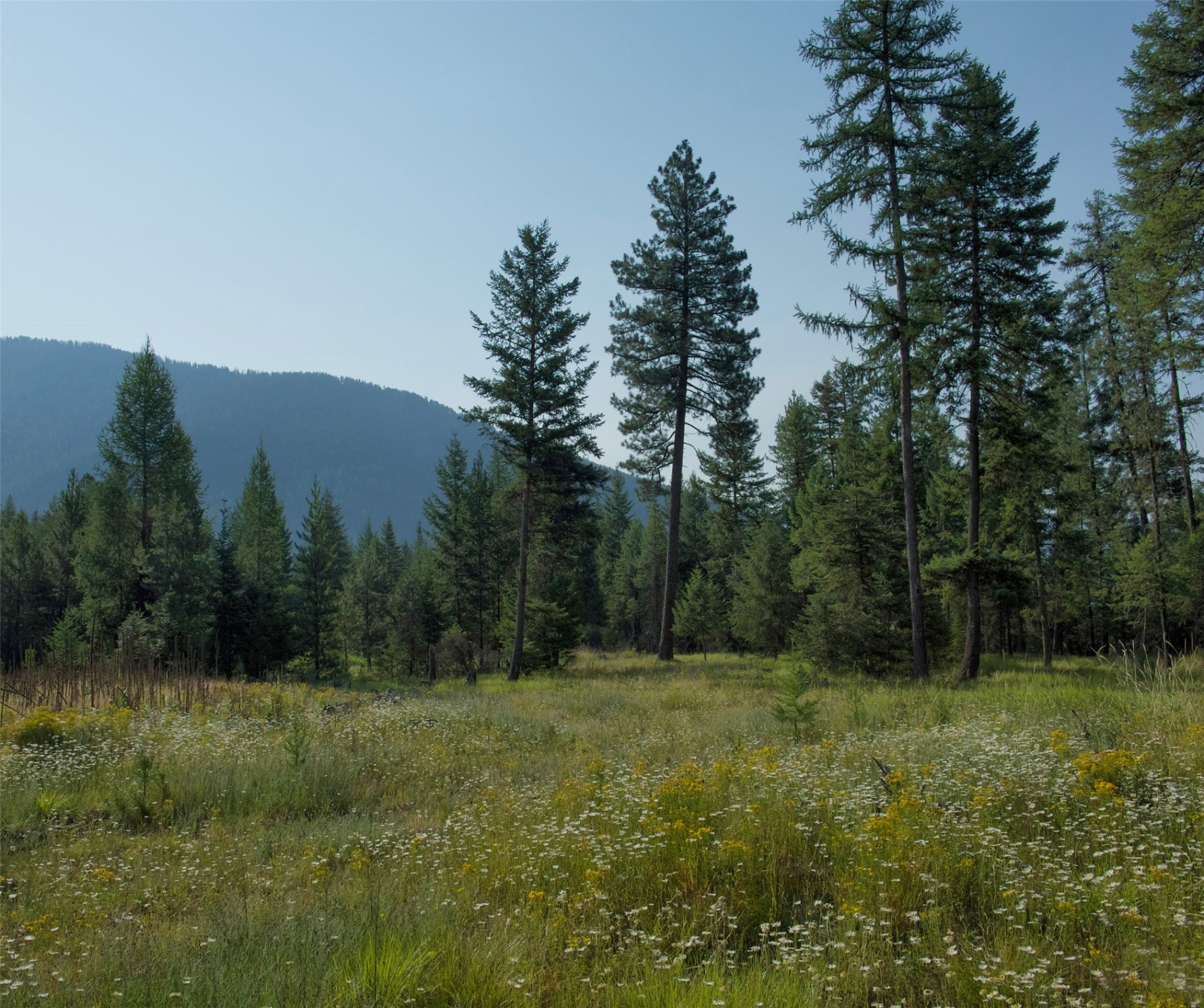Tbd Rabbit O'brien Creek Road Property Photo 6