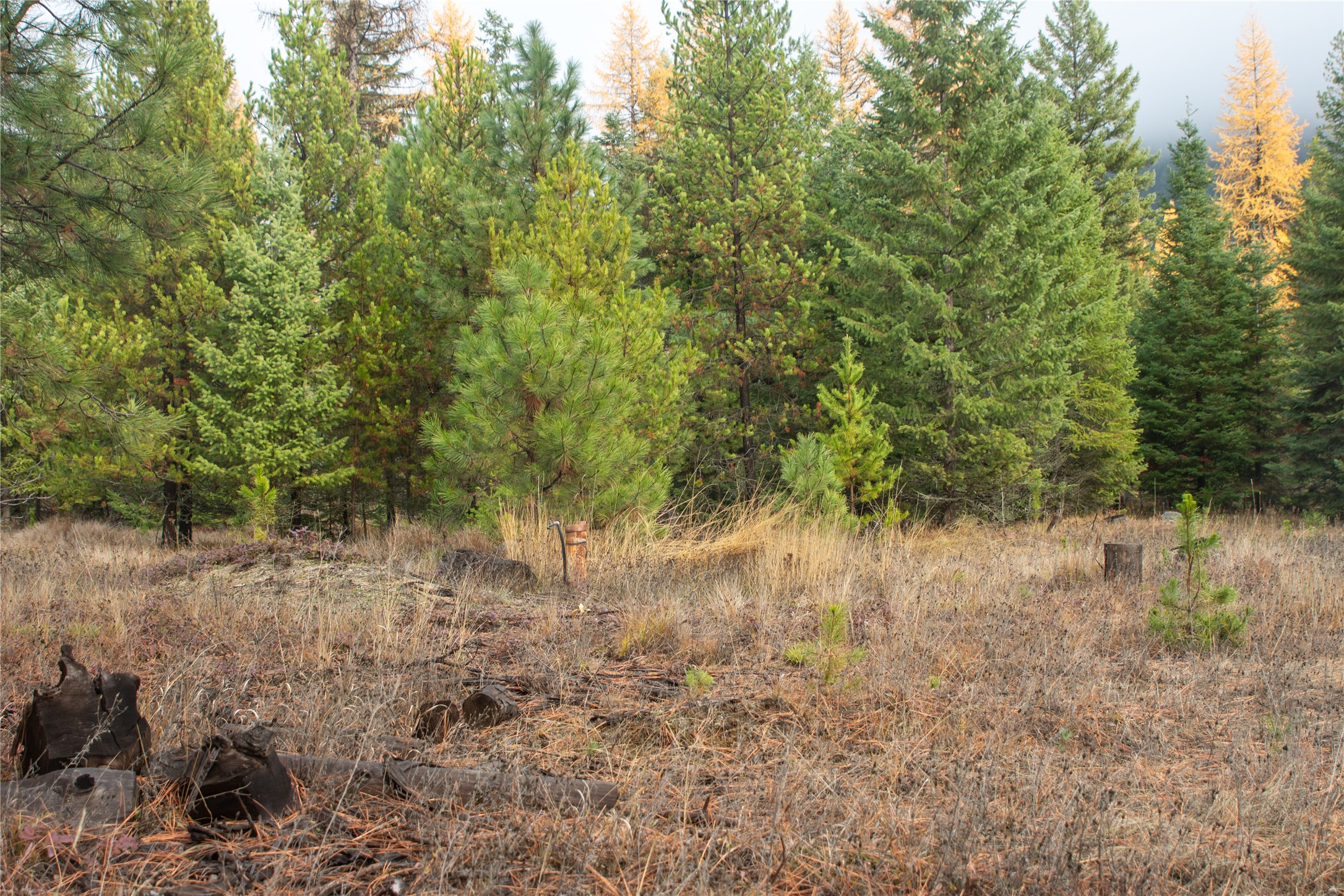Tbd Rabbit O'brien Creek Road Property Photo 8