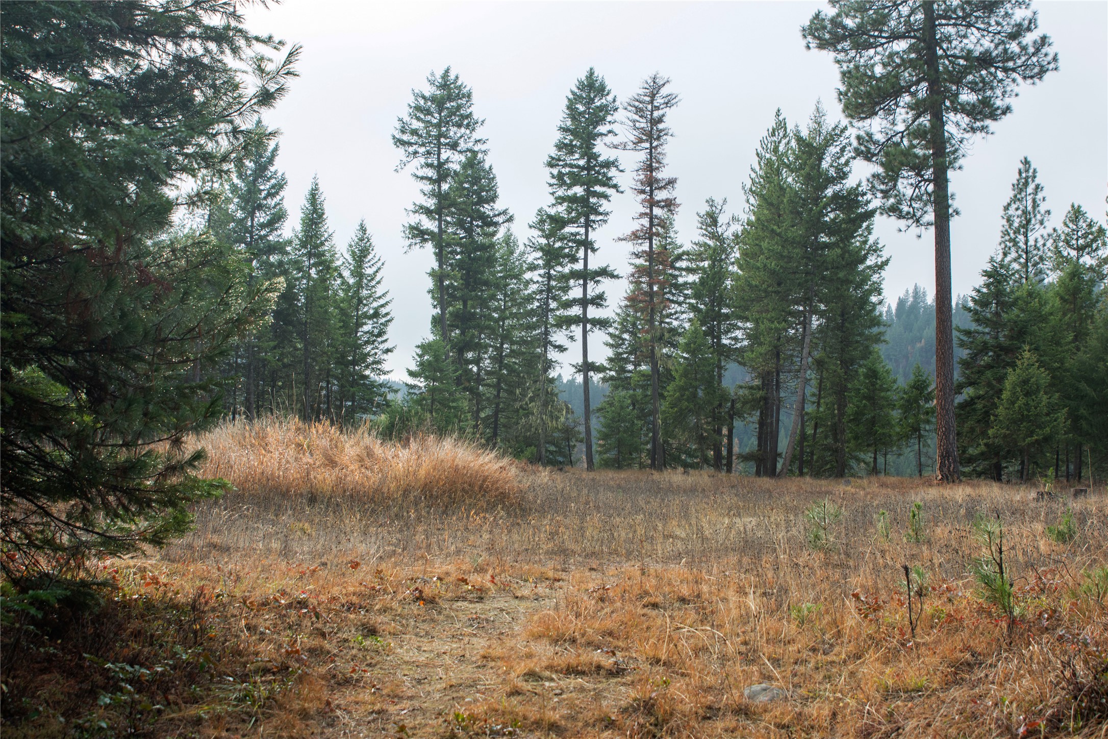Tbd Rabbit O'brien Creek Road Property Photo 9