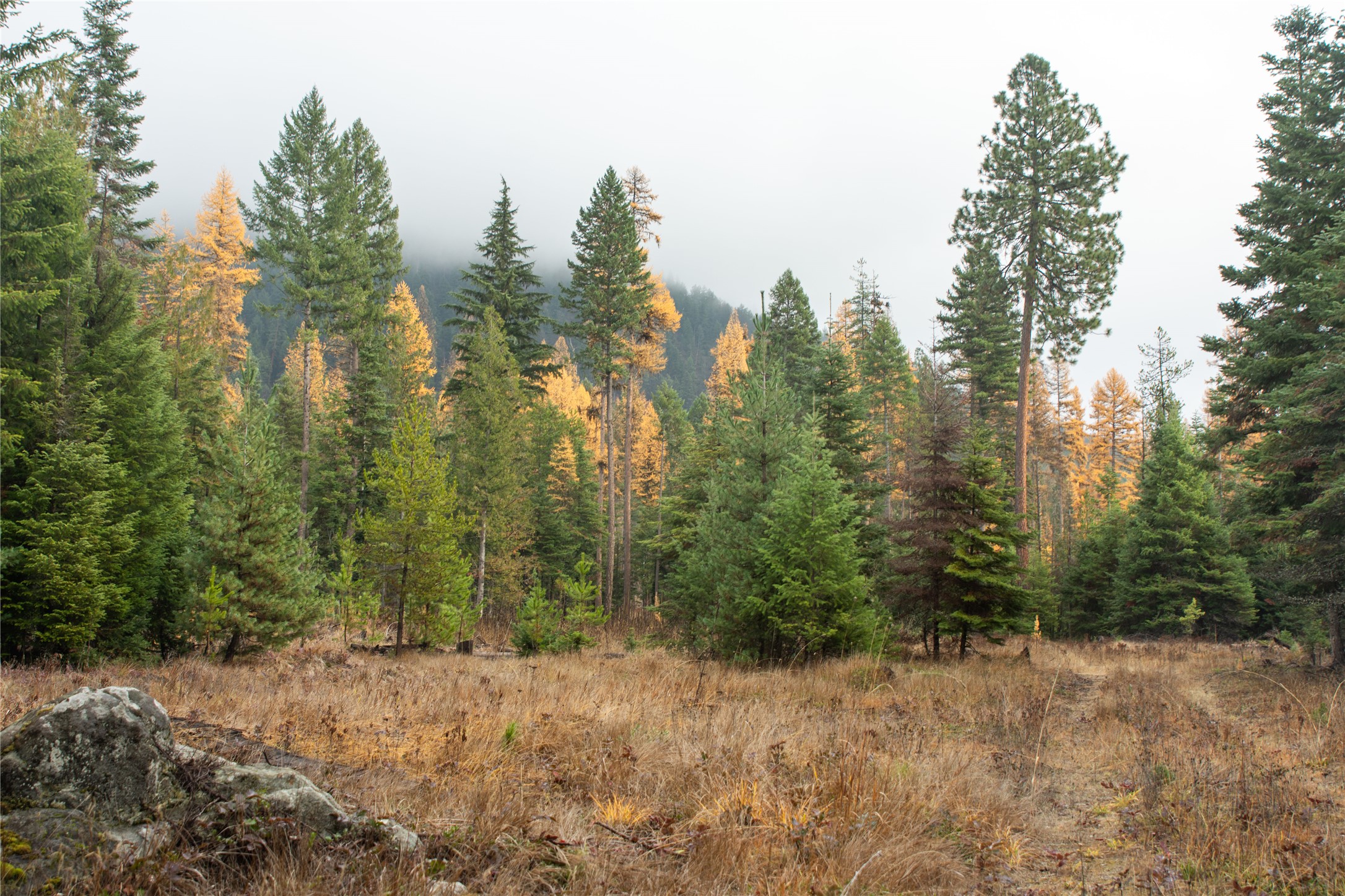 Tbd Rabbit O'brien Creek Road Property Photo 10
