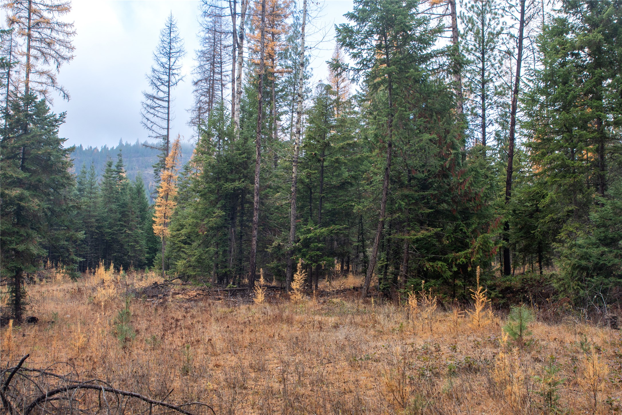 Tbd Rabbit O'brien Creek Road Property Photo 11