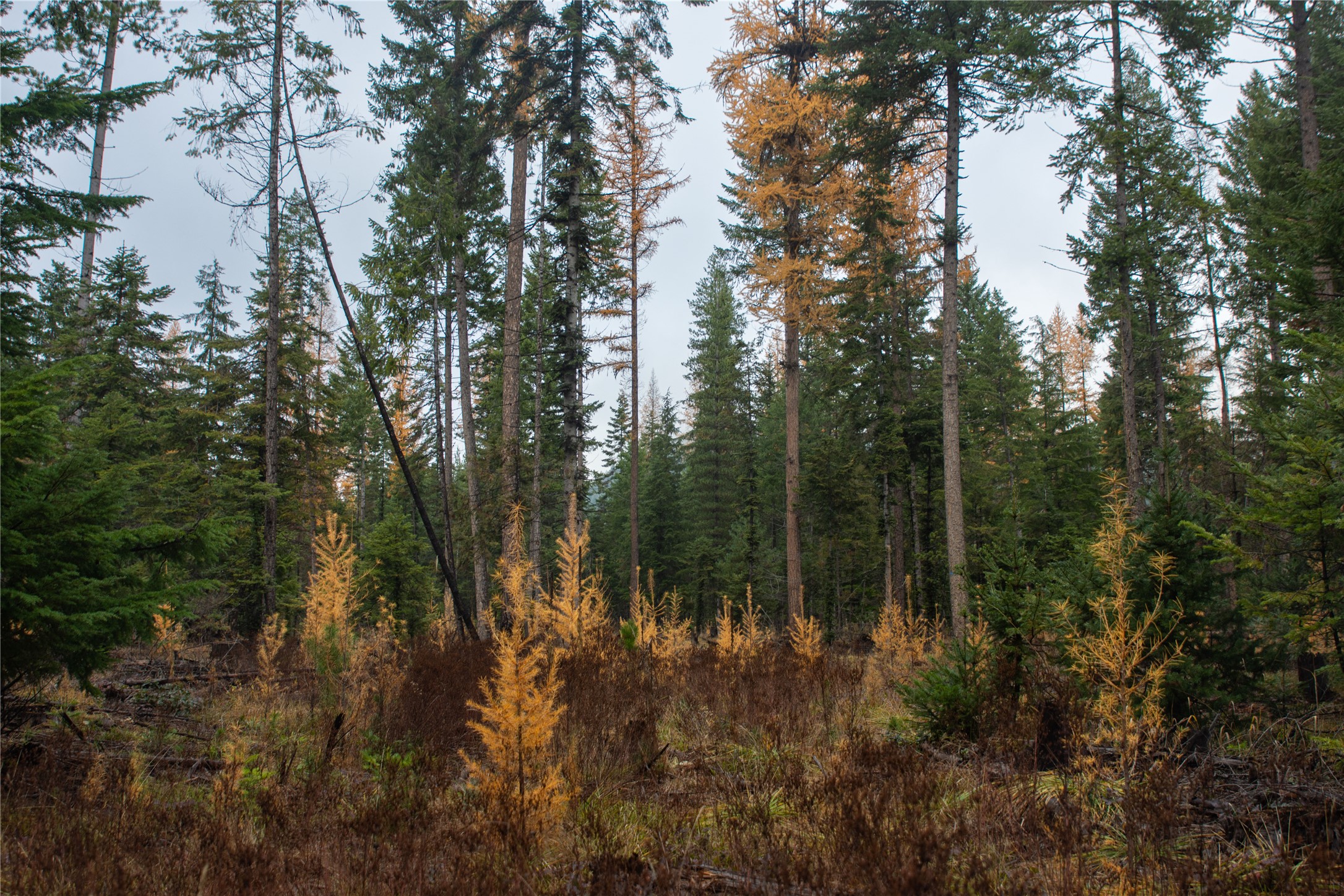 Tbd Rabbit O'brien Creek Road Property Photo 12