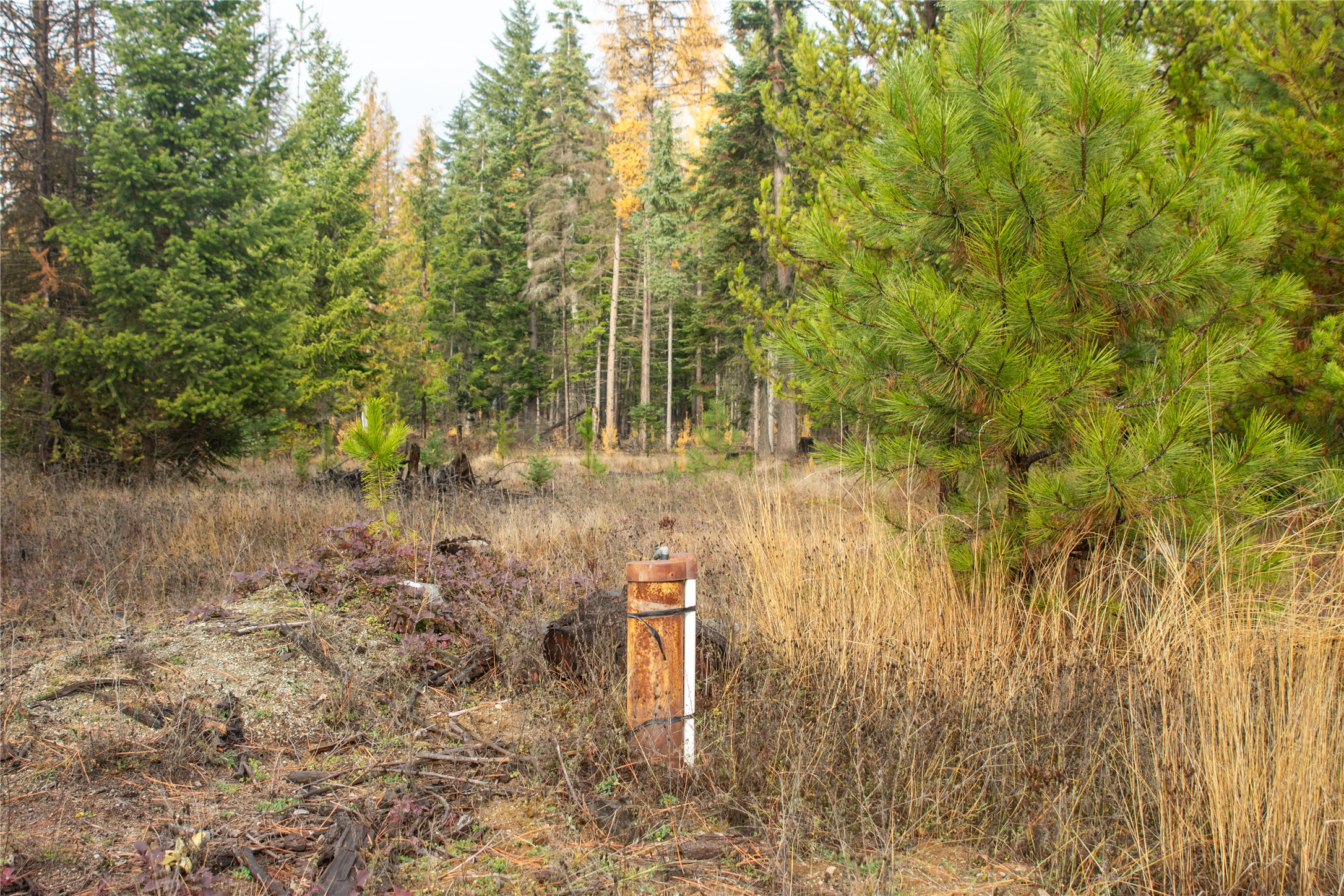 Tbd Rabbit O'brien Creek Road Property Photo 13