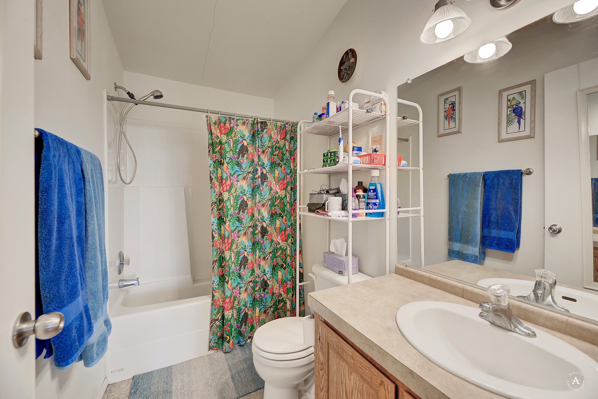 6594 And 6410 Collins Drive Property Photo 15