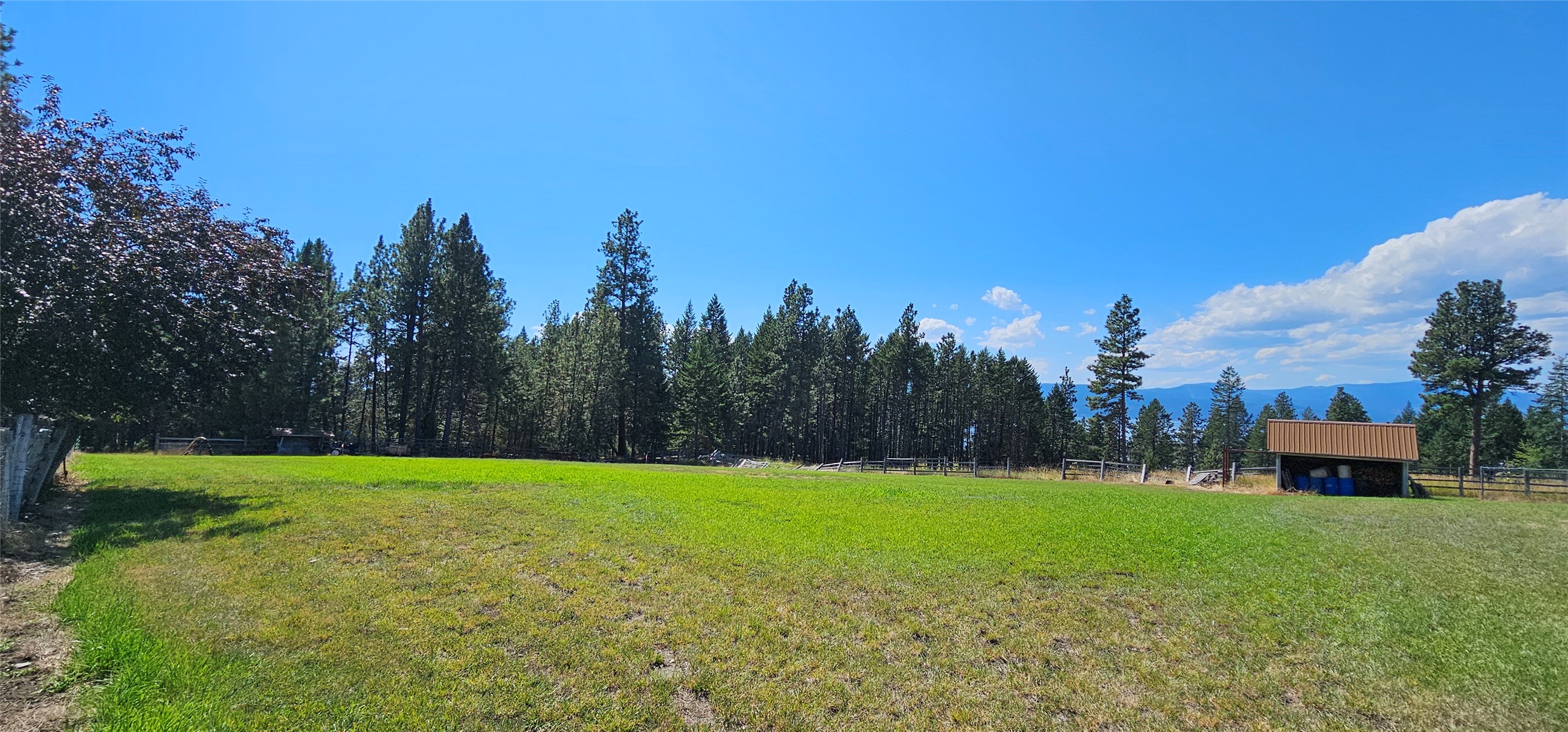 33676 Hilltop Terrace Property Photo 101