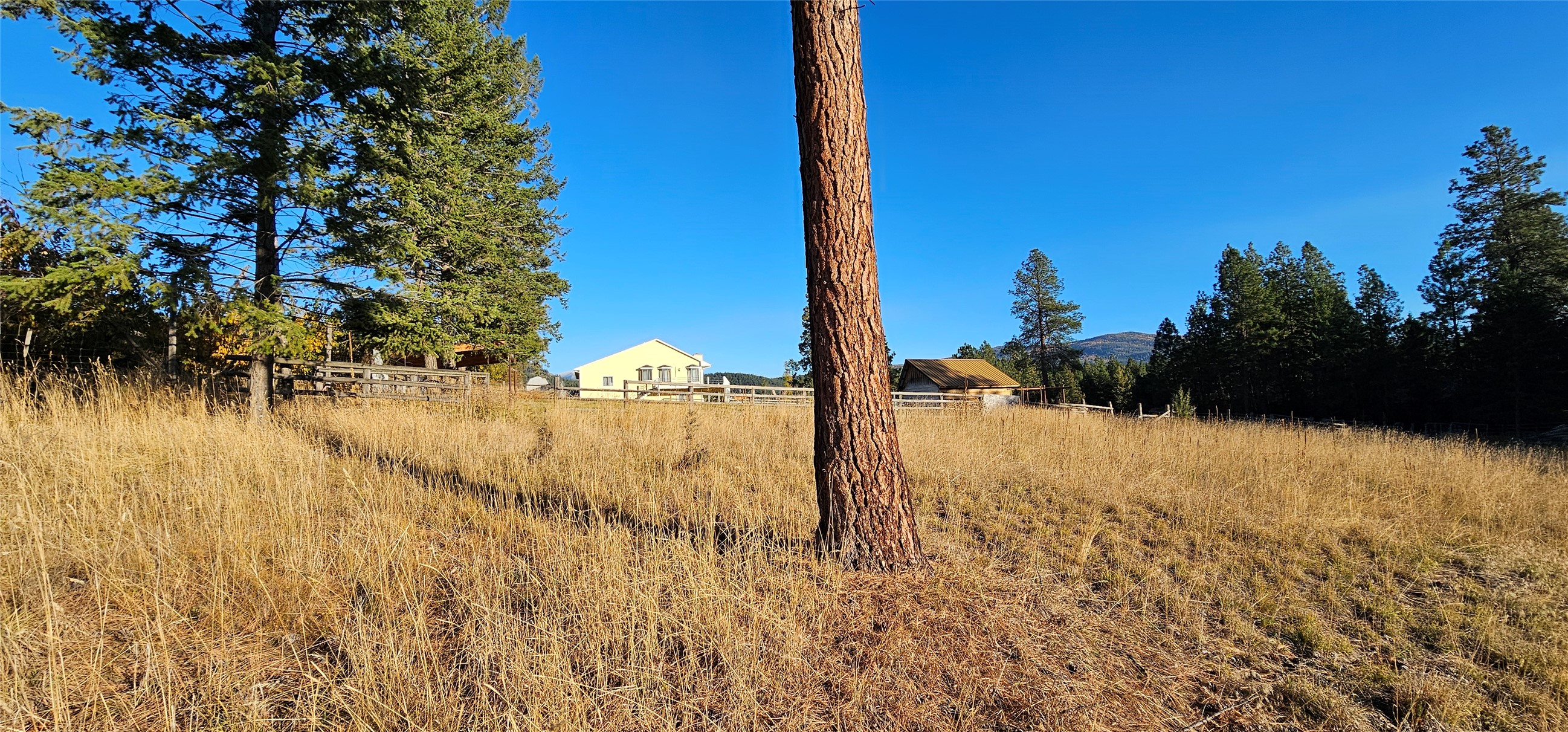33676 Hilltop Terrace Property Photo 126