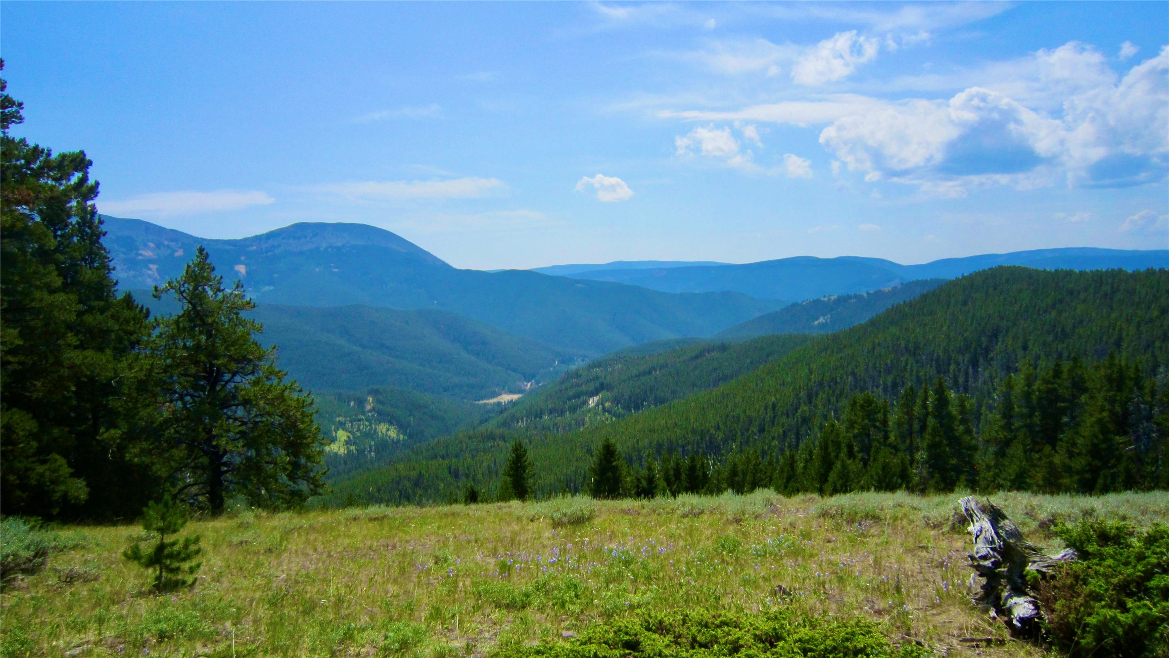 Nhn Pioneer Ridge Property Photo 1