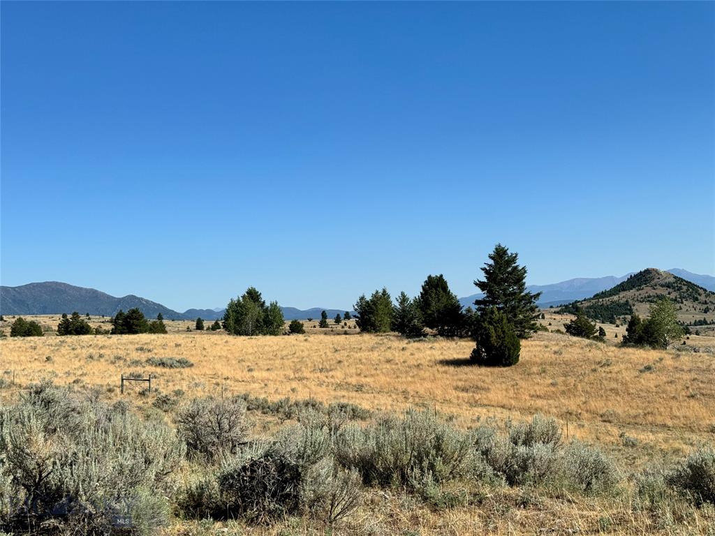 The Damon Property Photo 1