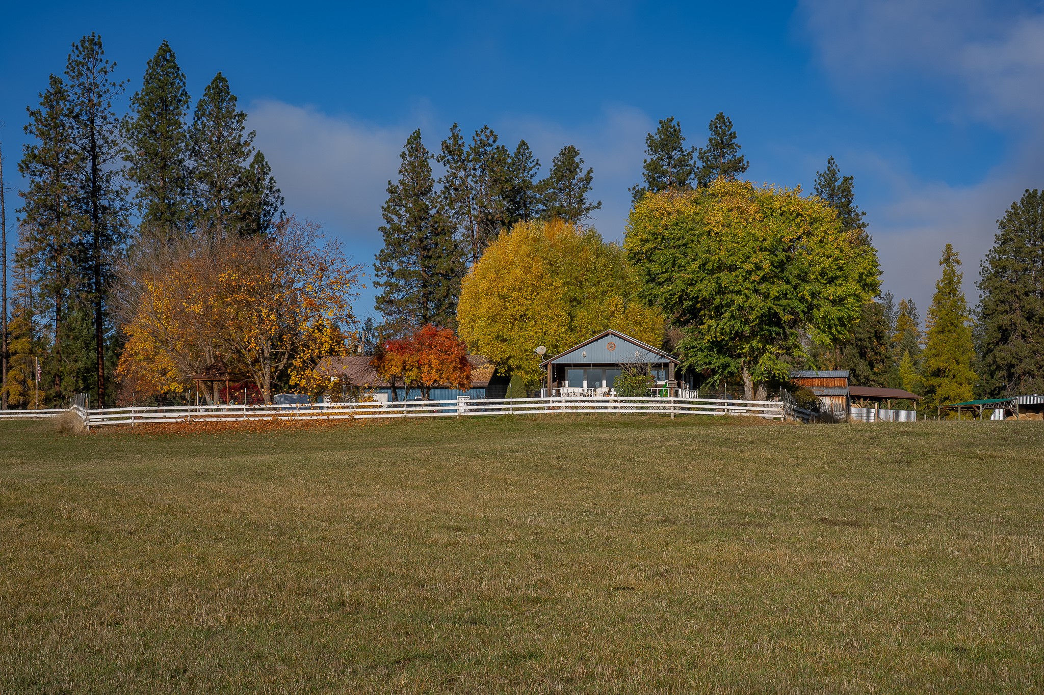 4 Courtier Road Property Photo 4