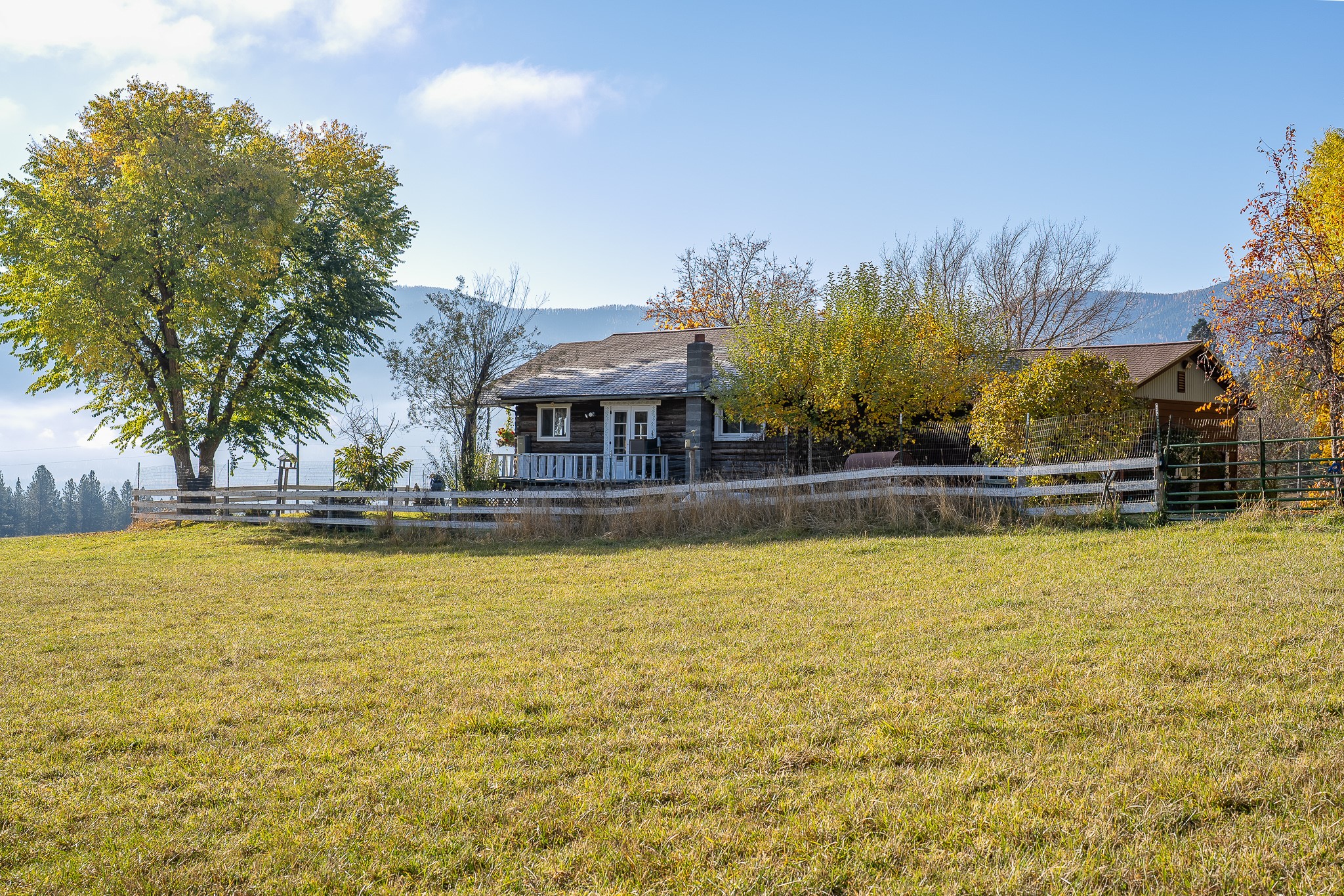 4 Courtier Road Property Photo 8