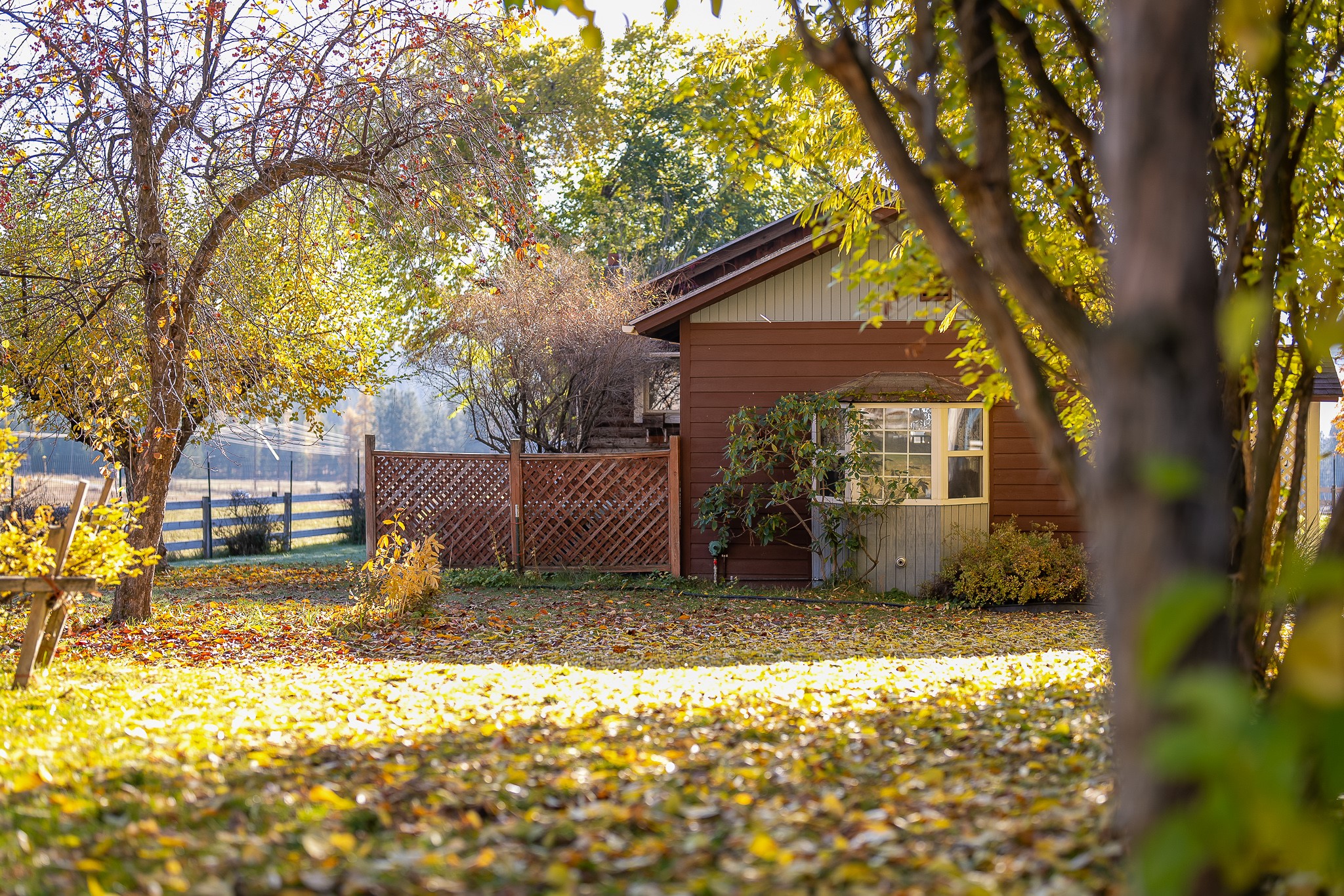 4 Courtier Road Property Photo 12