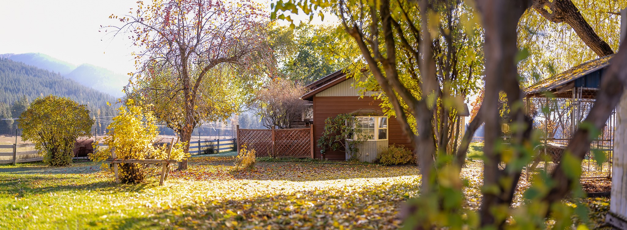 4 Courtier Road Property Photo 13