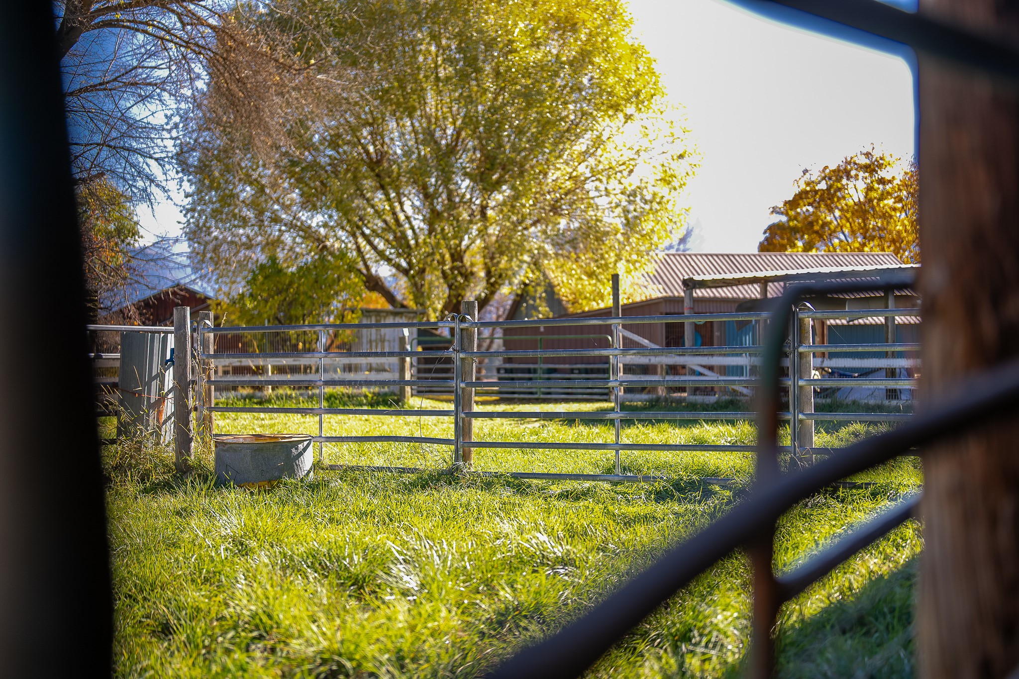 4 Courtier Road Property Photo 82