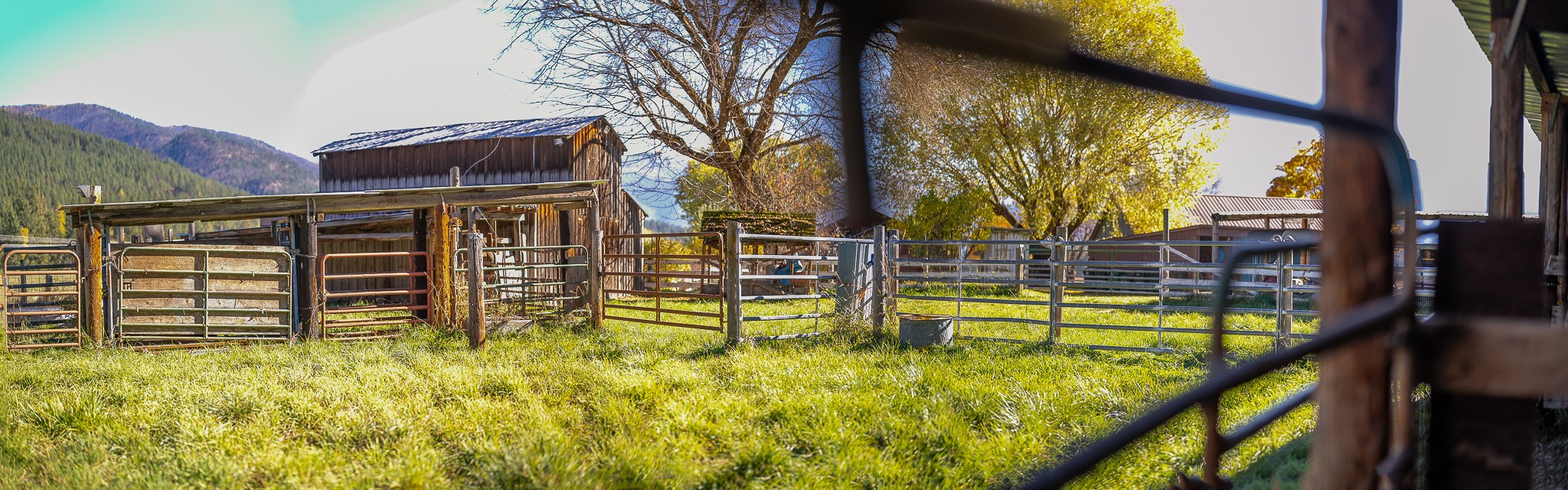 4 Courtier Road Property Photo 83