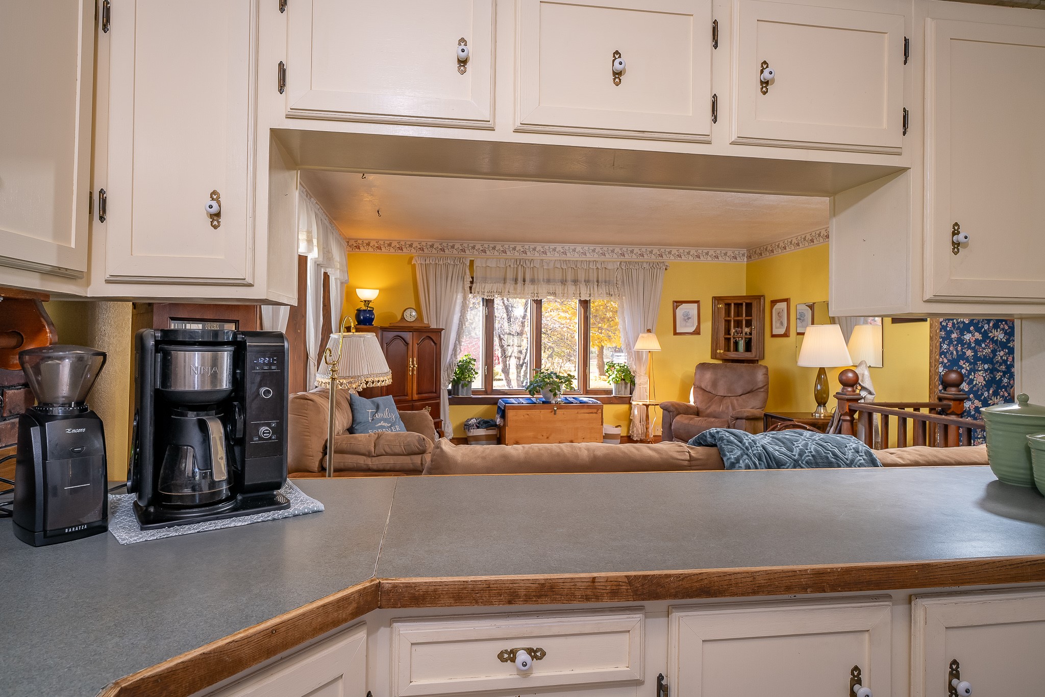 4 Courtier Road Property Photo 100
