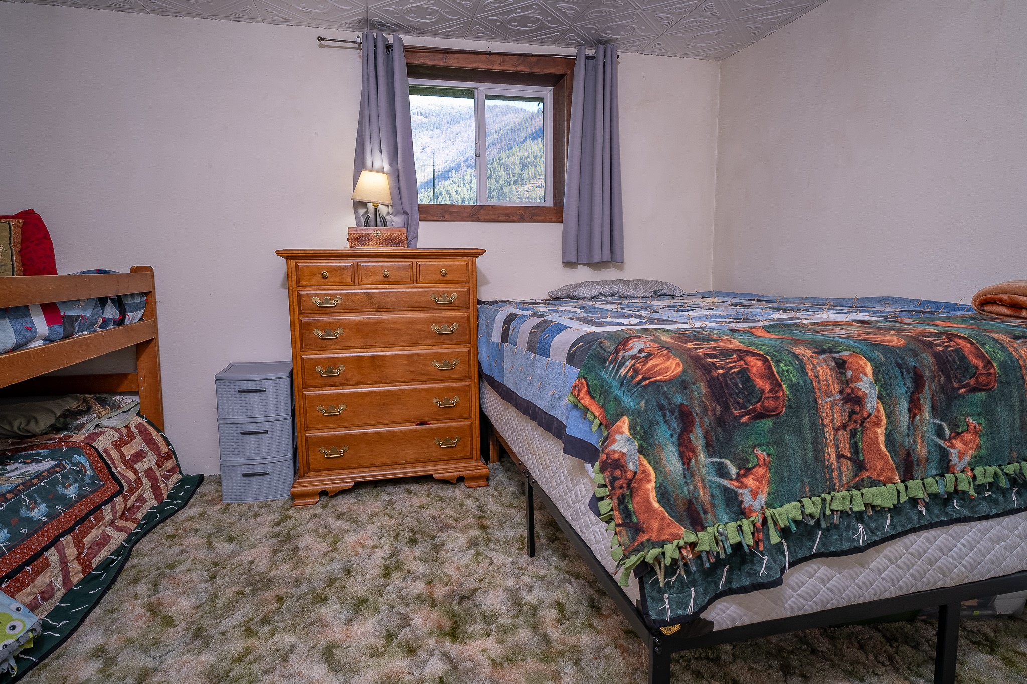 4 Courtier Road Property Photo 103