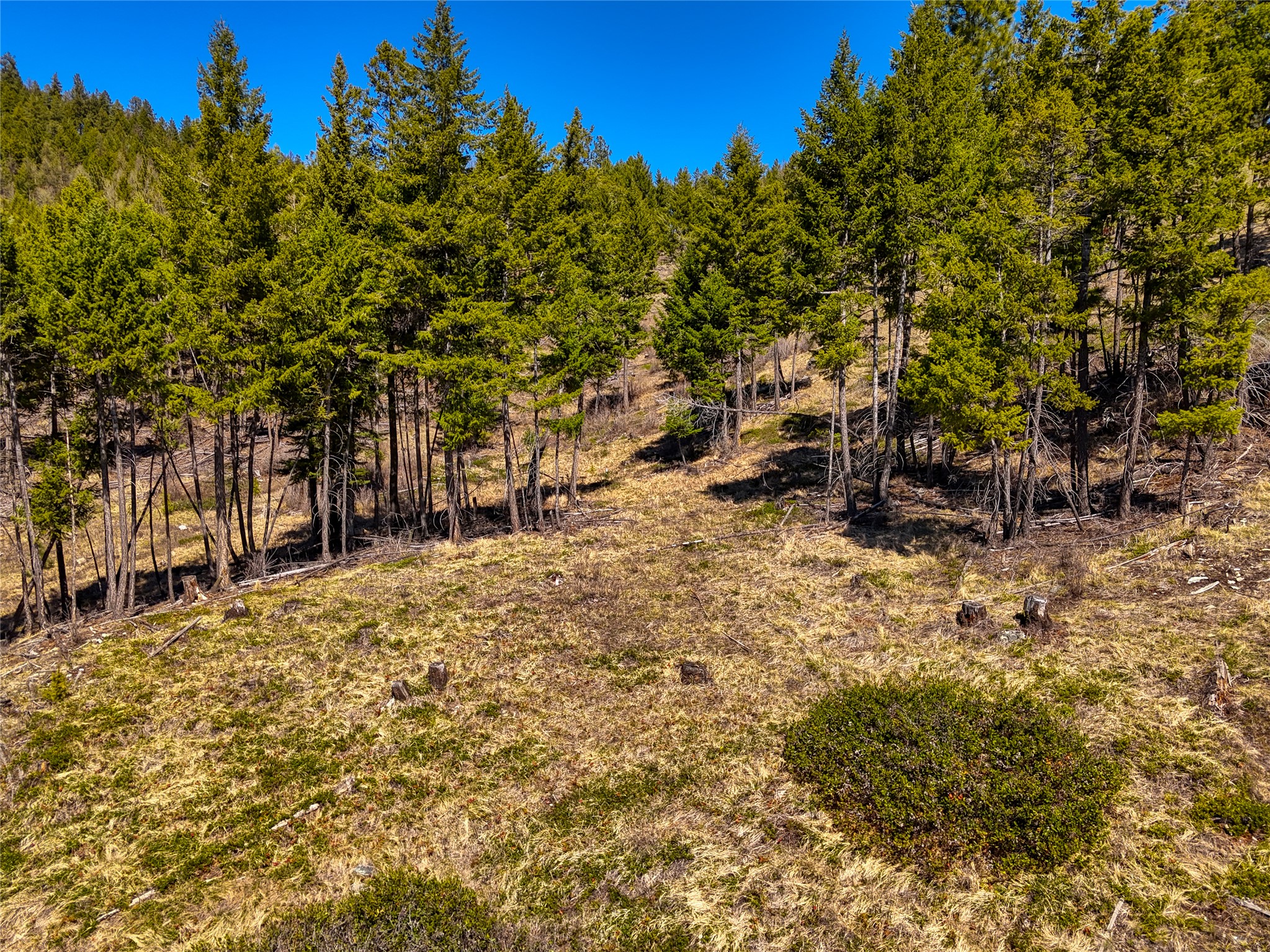 Tbd Sirius View Property Photo 5