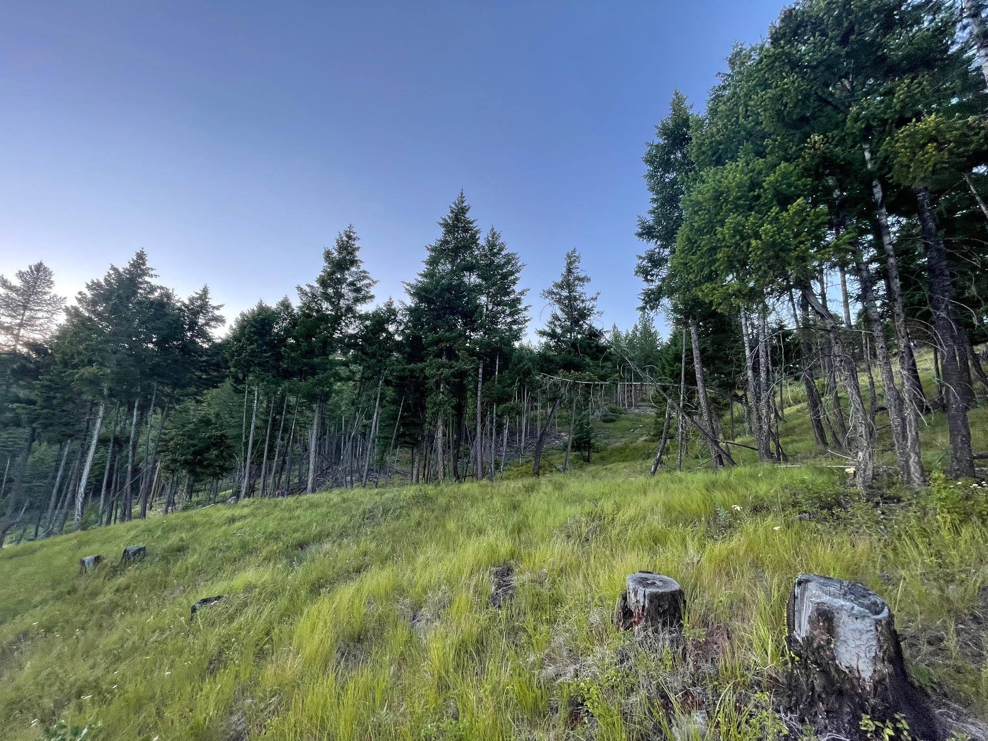 Tbd Sirius View Property Photo 15
