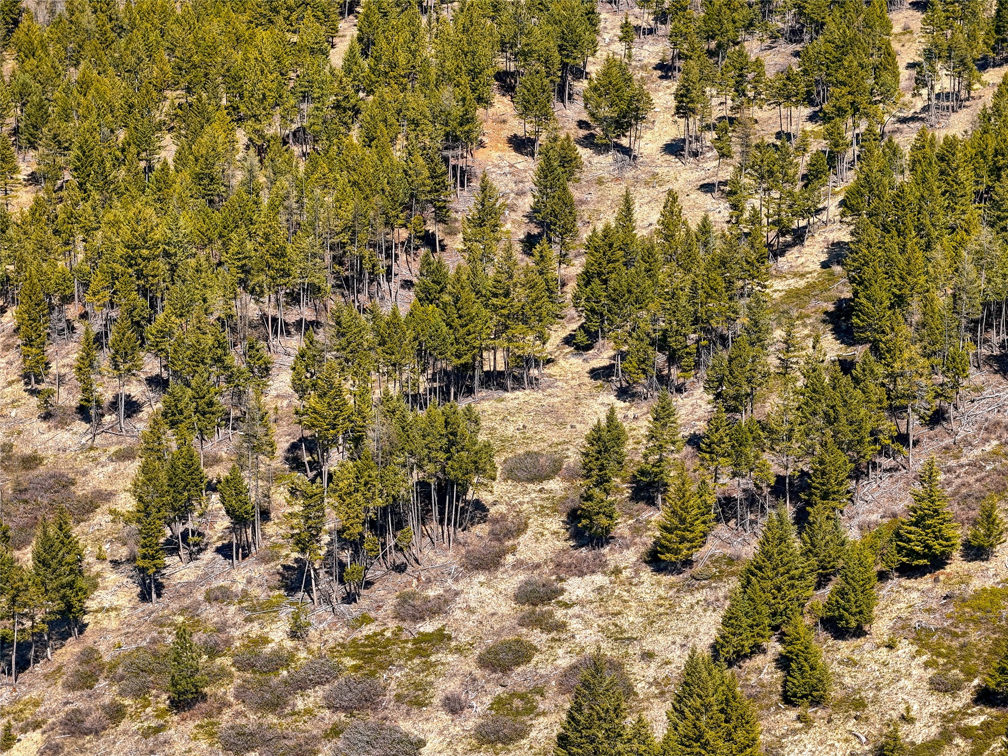 Tbd Sirius View Property Photo 17