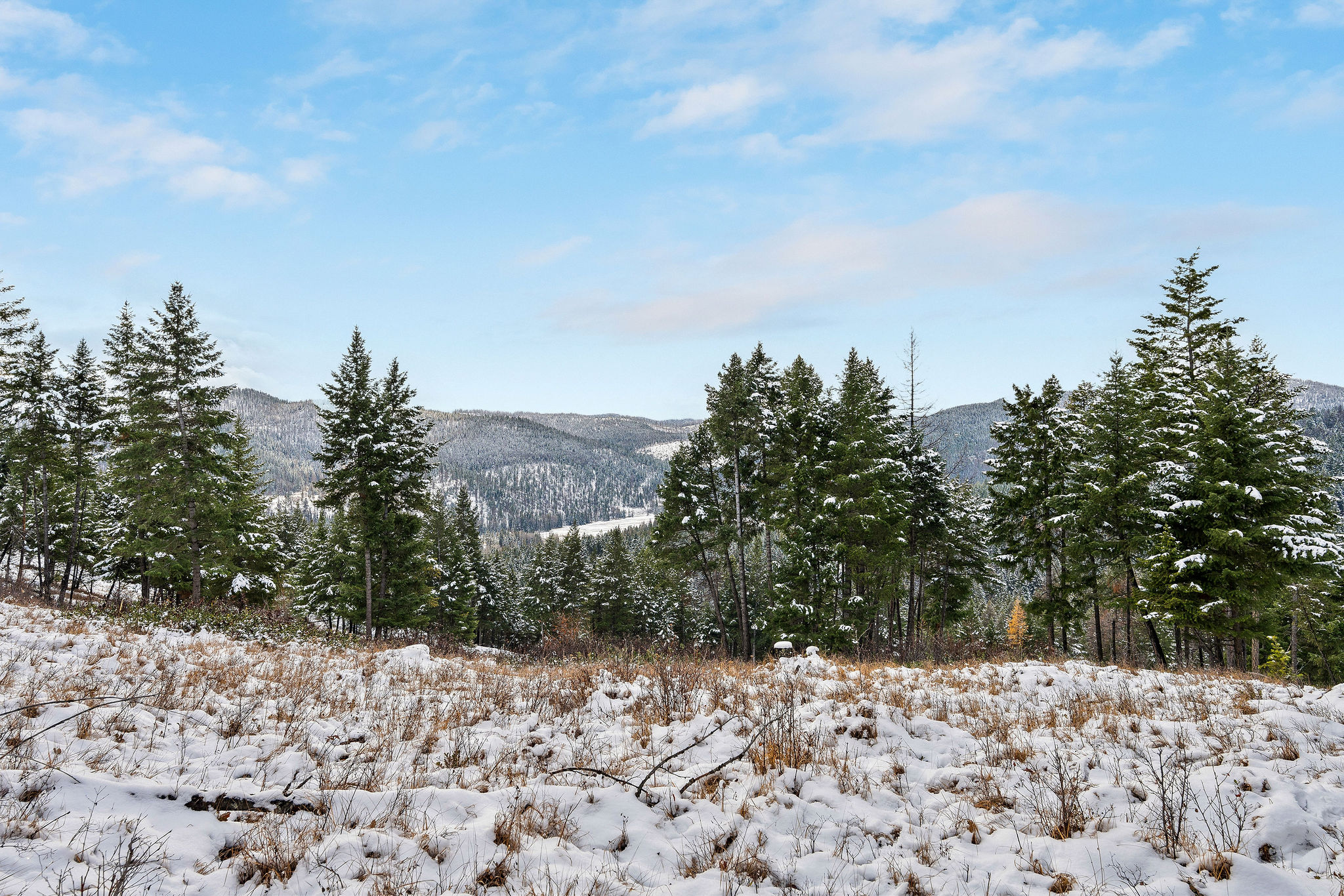 Tbd Sirius View Property Photo 24