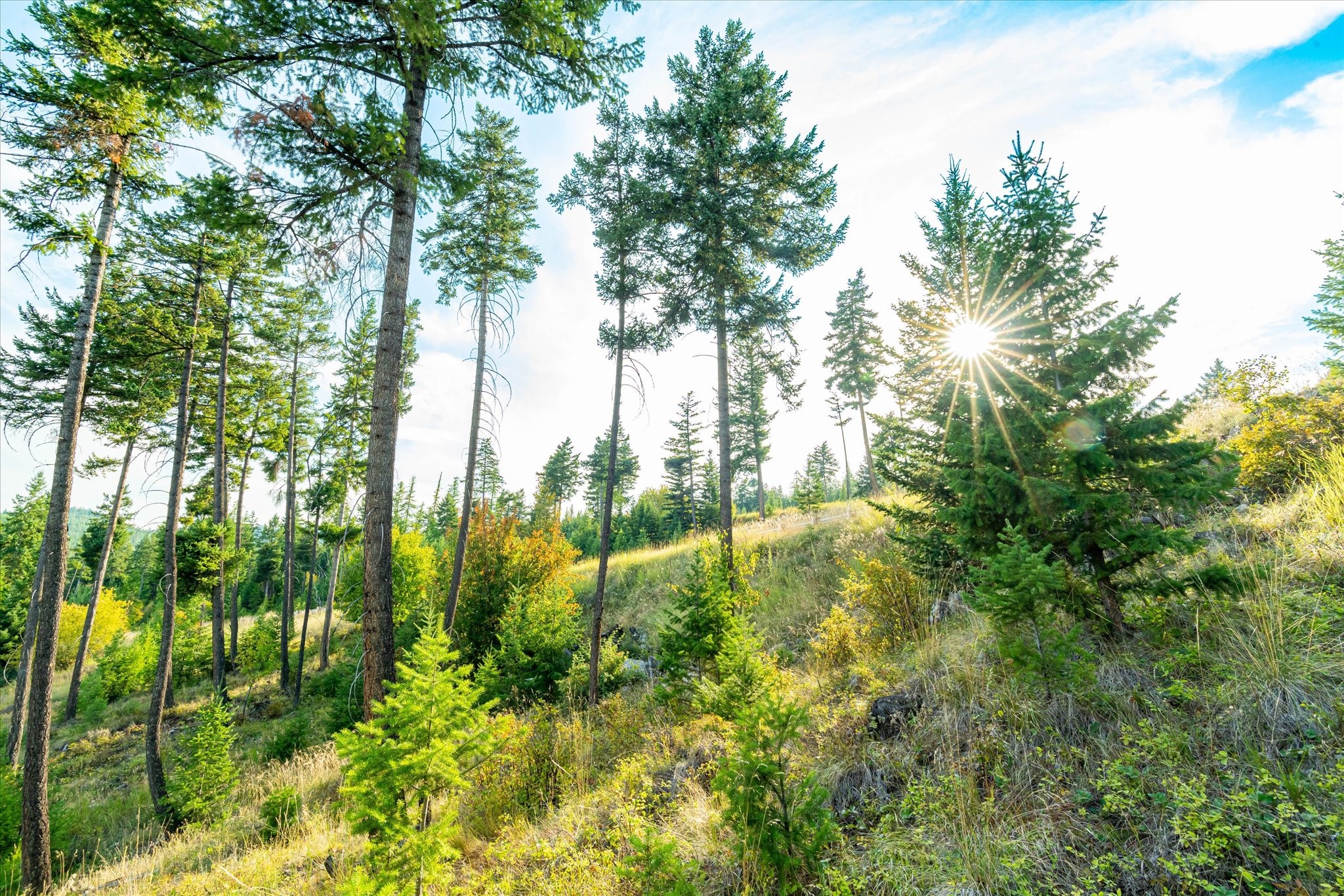 Eagle Development Real Estate Listings Main Image