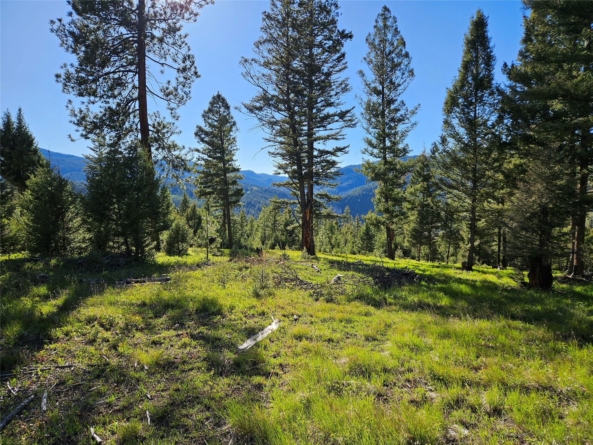202 Packer Gulch Road Property Photo