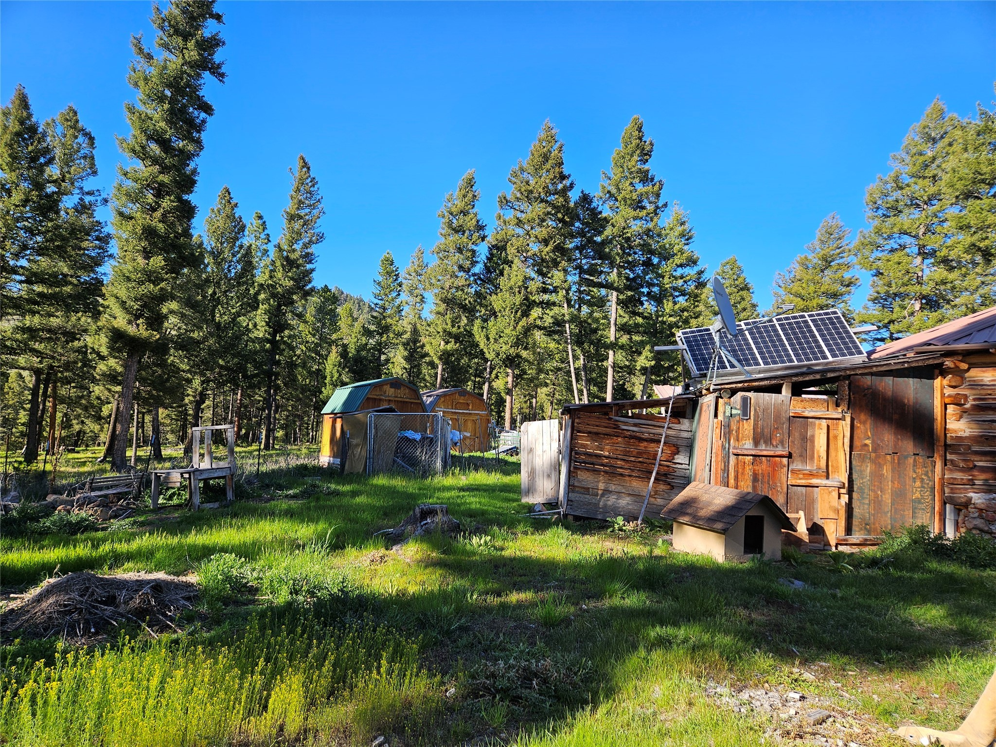 202 Packer Gulch Road Property Photo 6