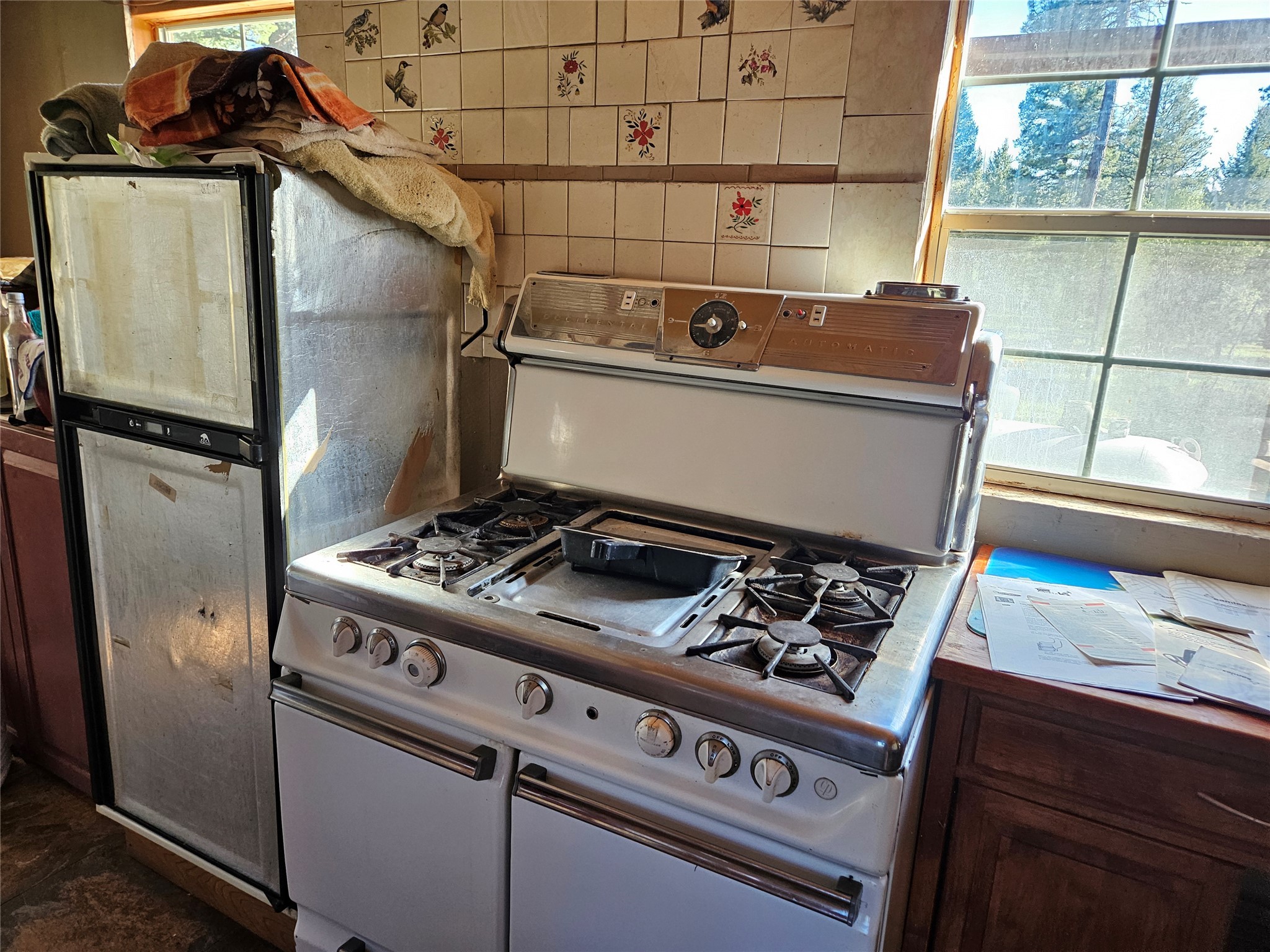 202 Packer Gulch Road Property Photo 8