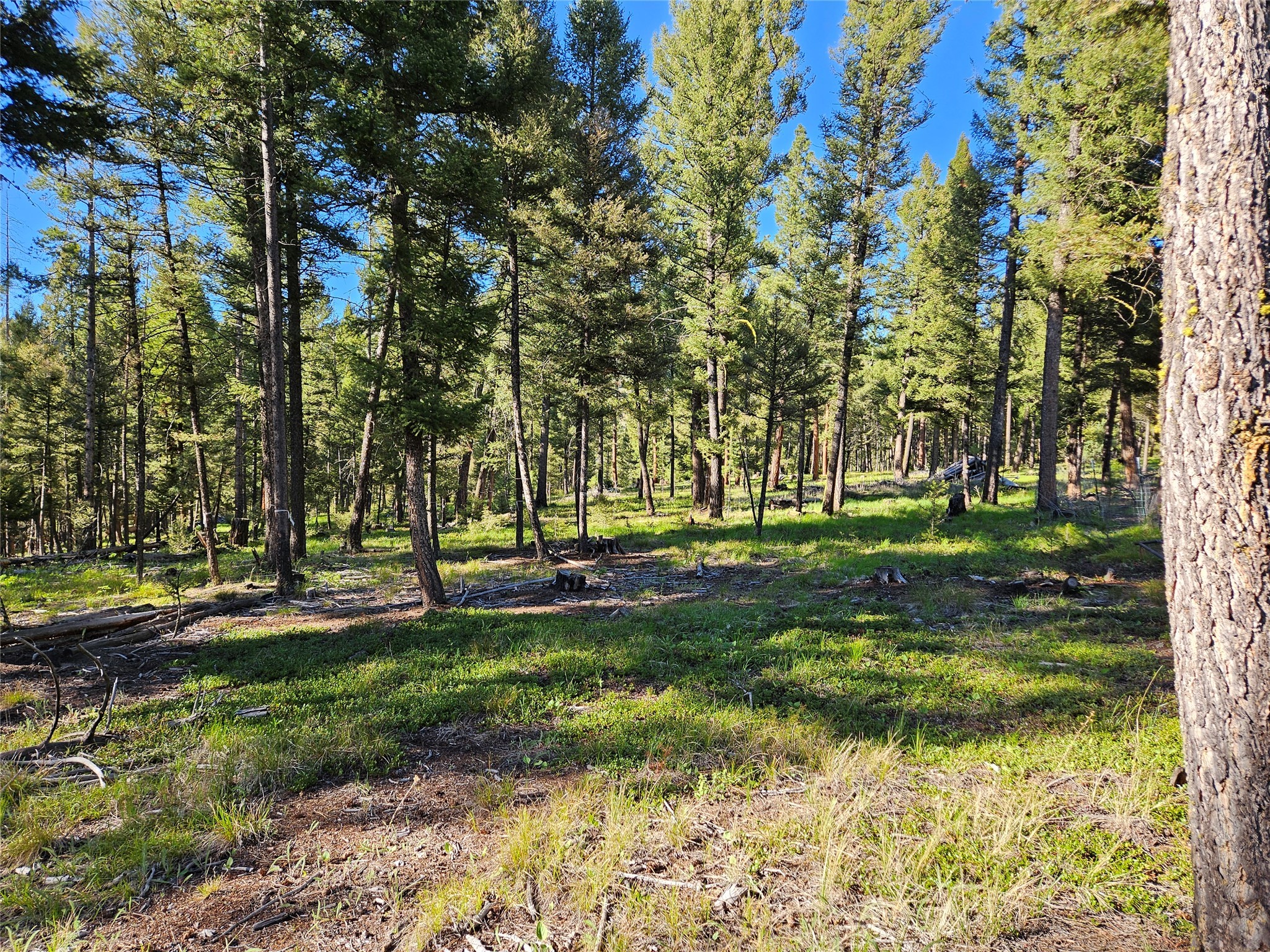 202 Packer Gulch Road Property Photo 15