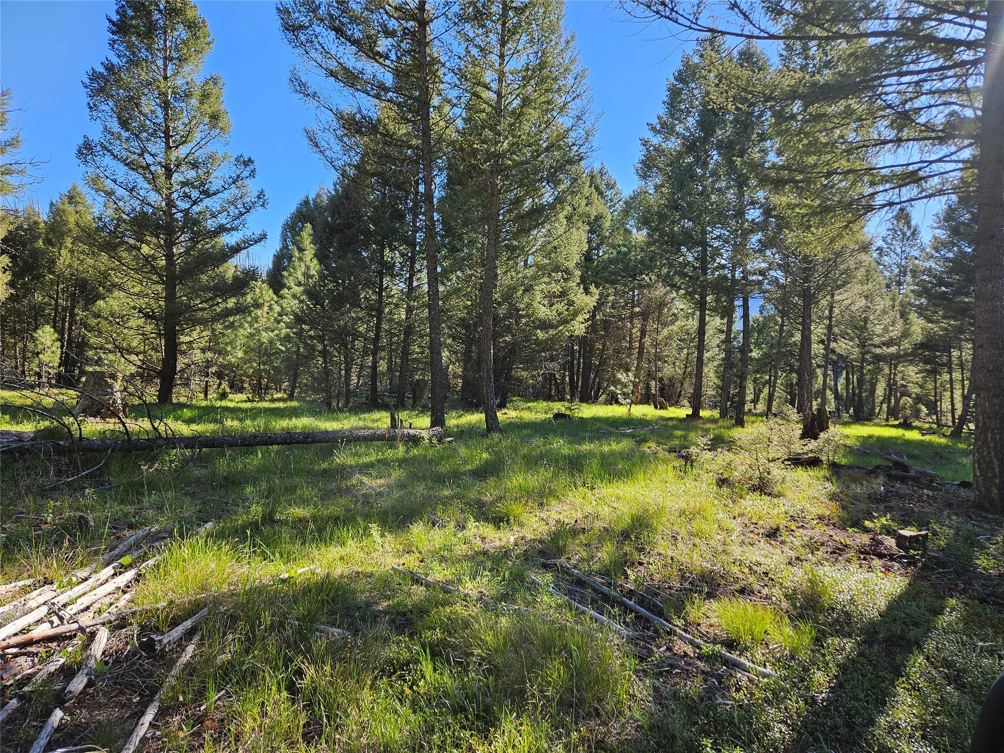 202 Packer Gulch Road Property Photo 17