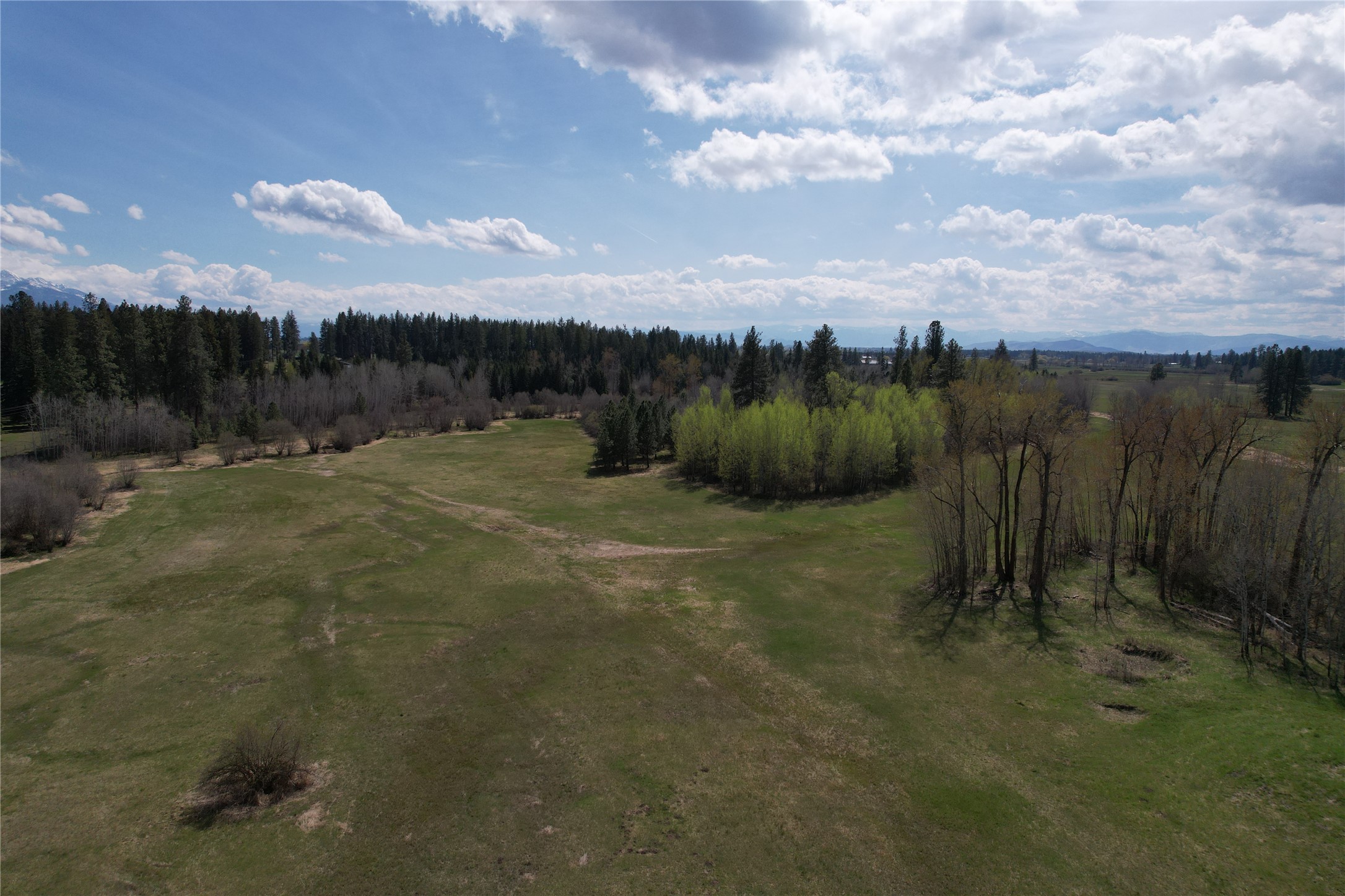 42420 Holt Ranch Lane Property Photo 4