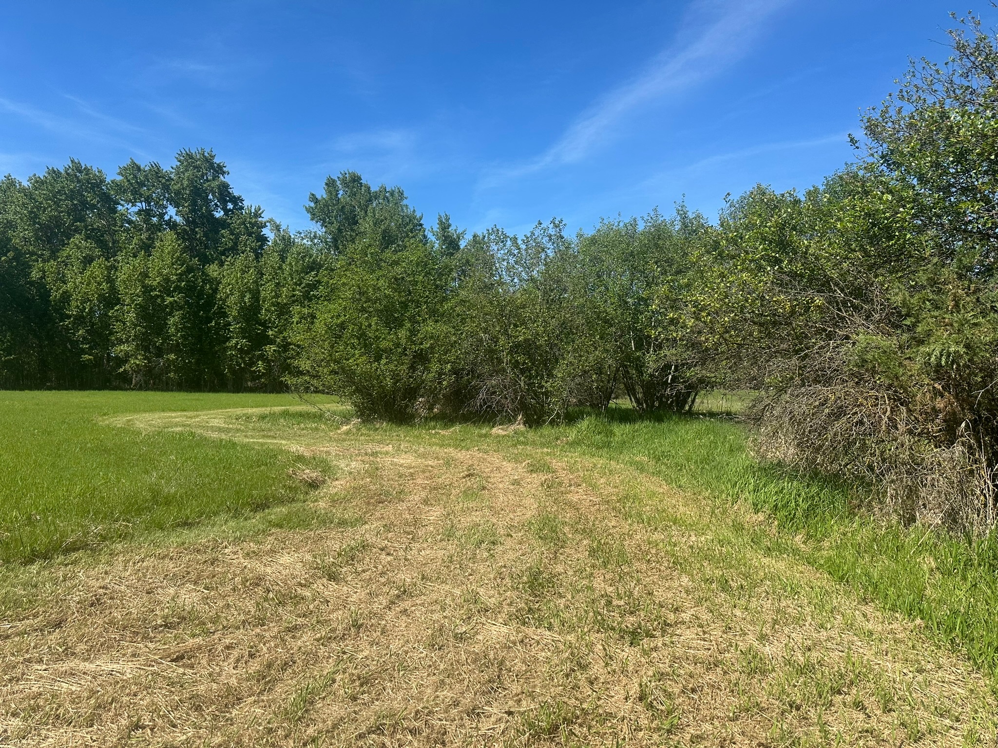 42420 Holt Ranch Lane Property Photo 6