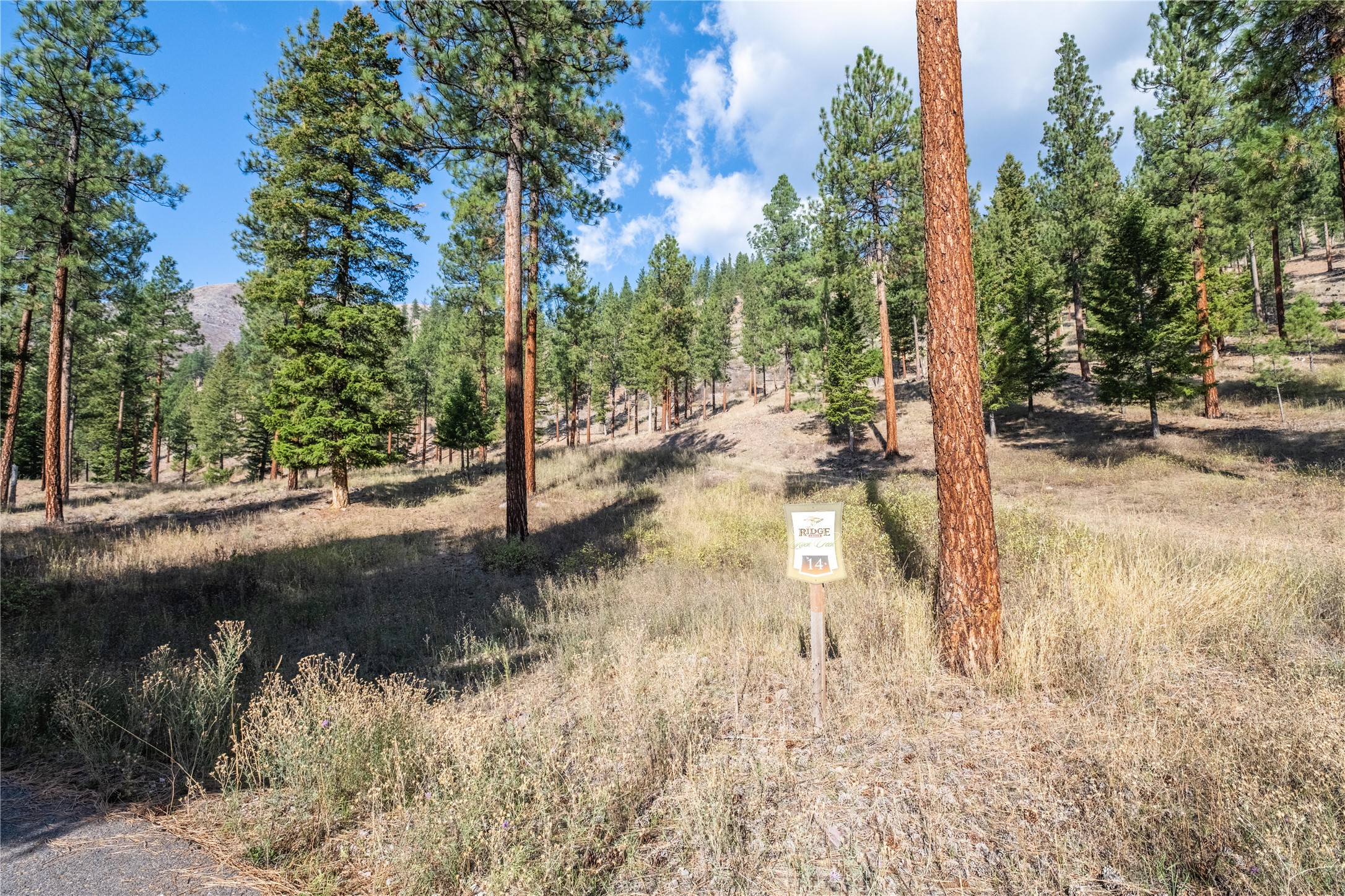 Lot 14 Muddler Court Property Photo