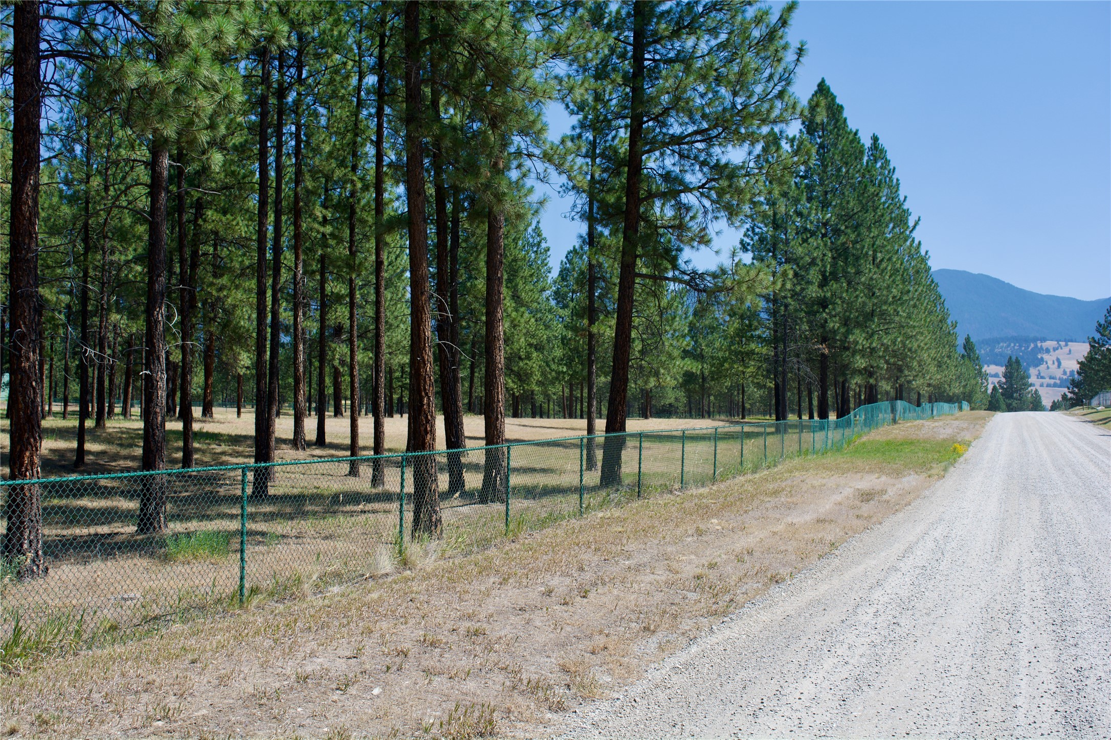 Nhn Meadow Lane Property Photo