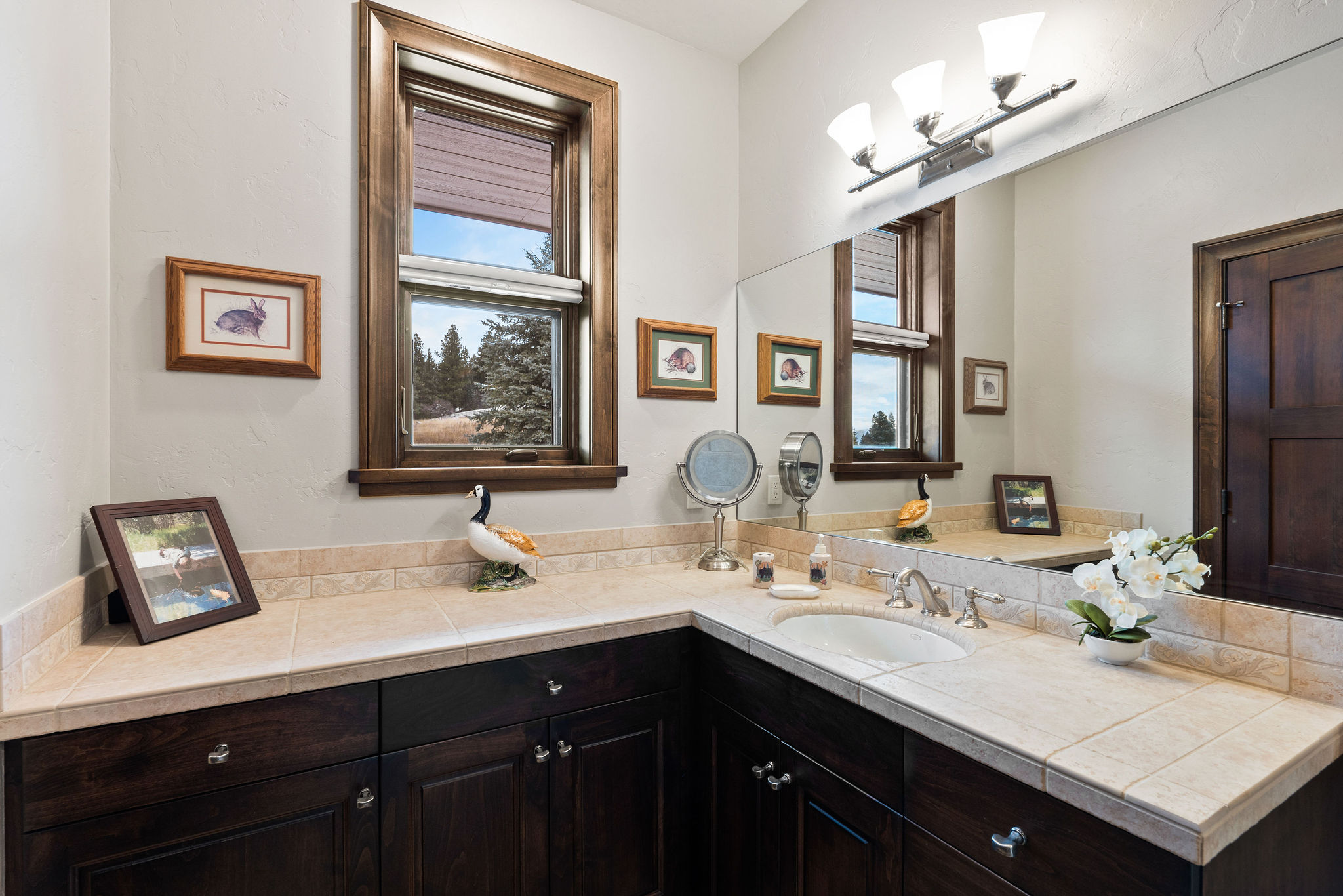 1382 Ponderosa Ridge Drive Property Photo 36