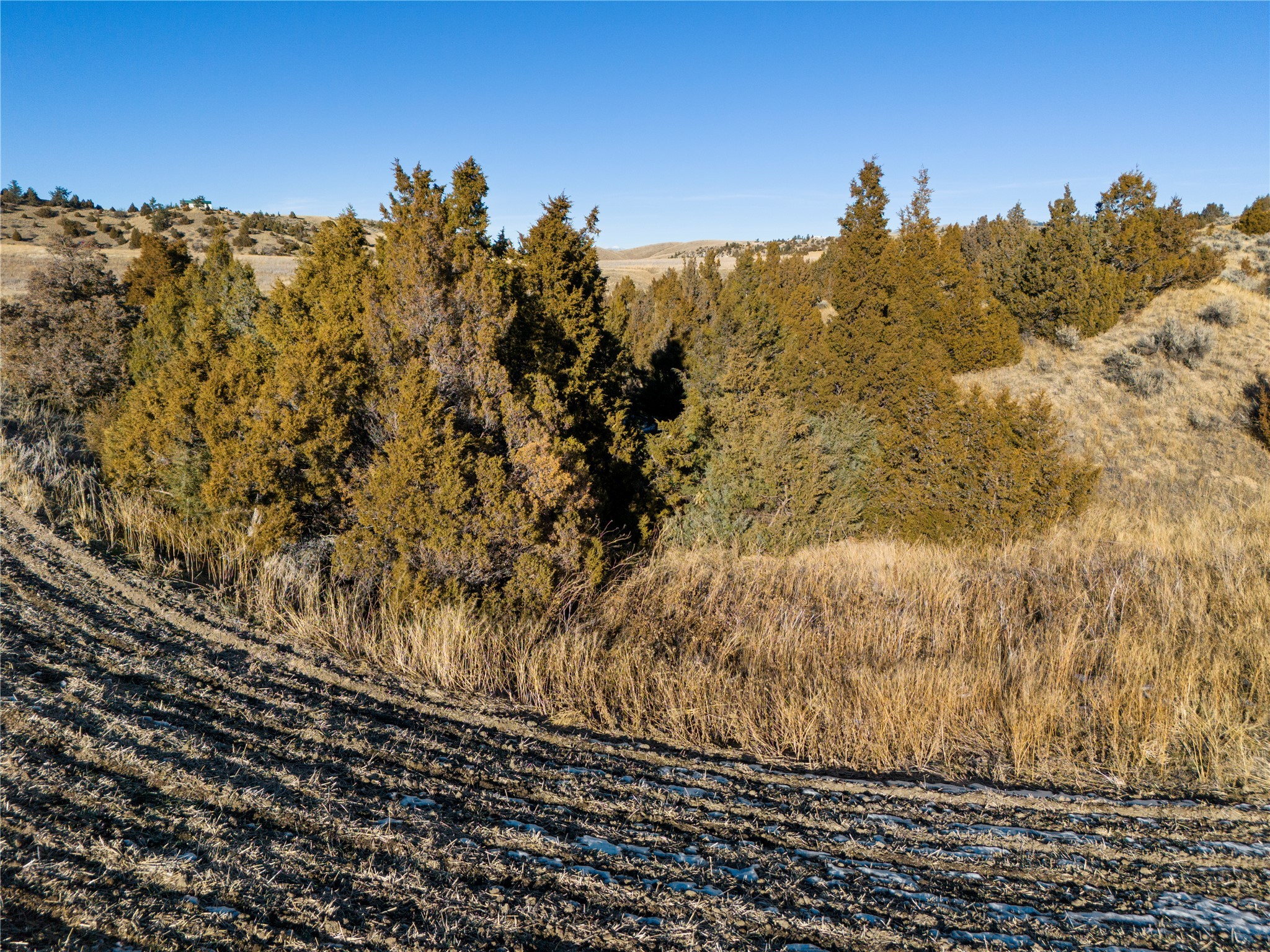 Lot 249 Homestead Road Property Photo 15