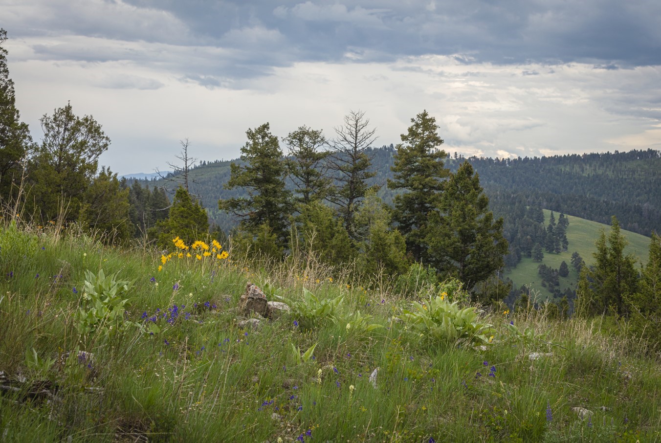 10 & 11 Bull Elk Tracts Property Photo