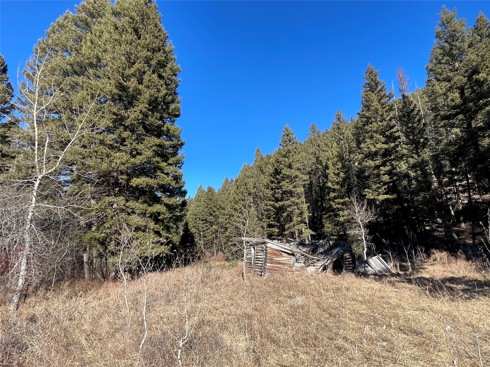 41 Maxville Road Property Photo 17