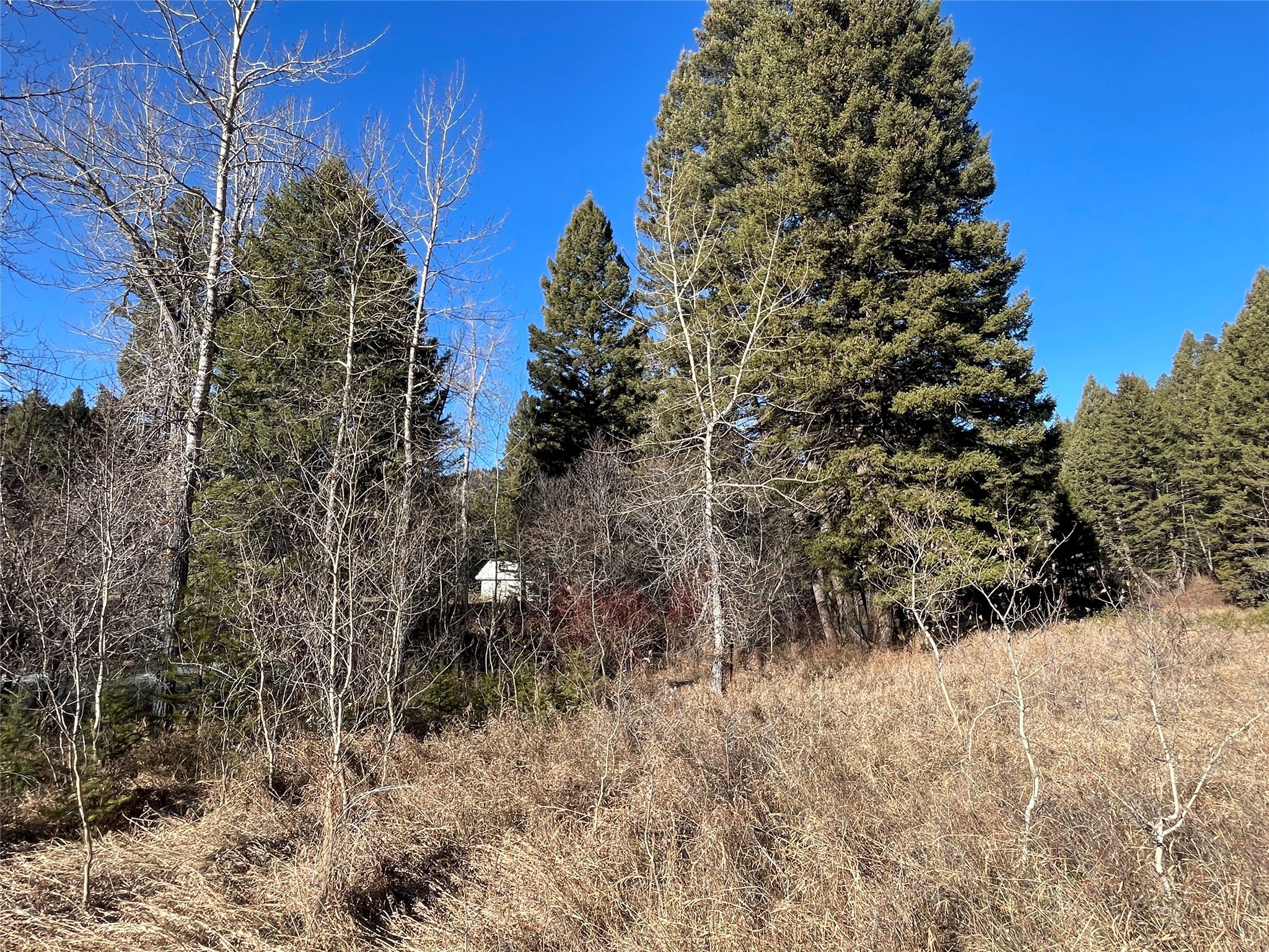 41 Maxville Road Property Photo 18