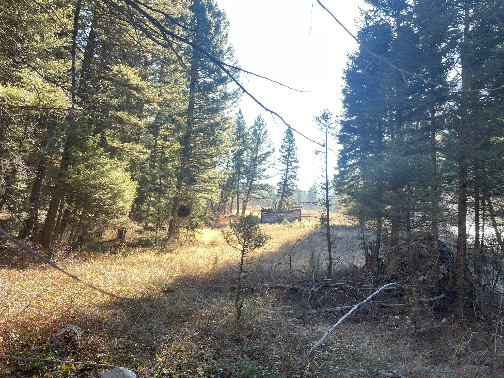 41 Maxville Road Property Photo 24