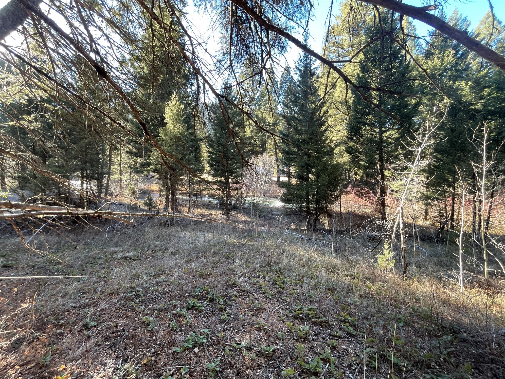 41 Maxville Road Property Photo 27
