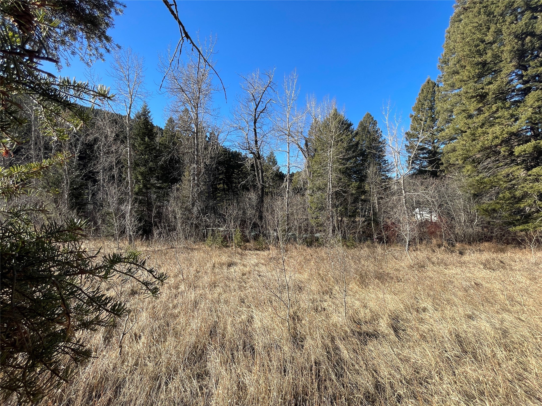 41 Maxville Road Property Photo 35