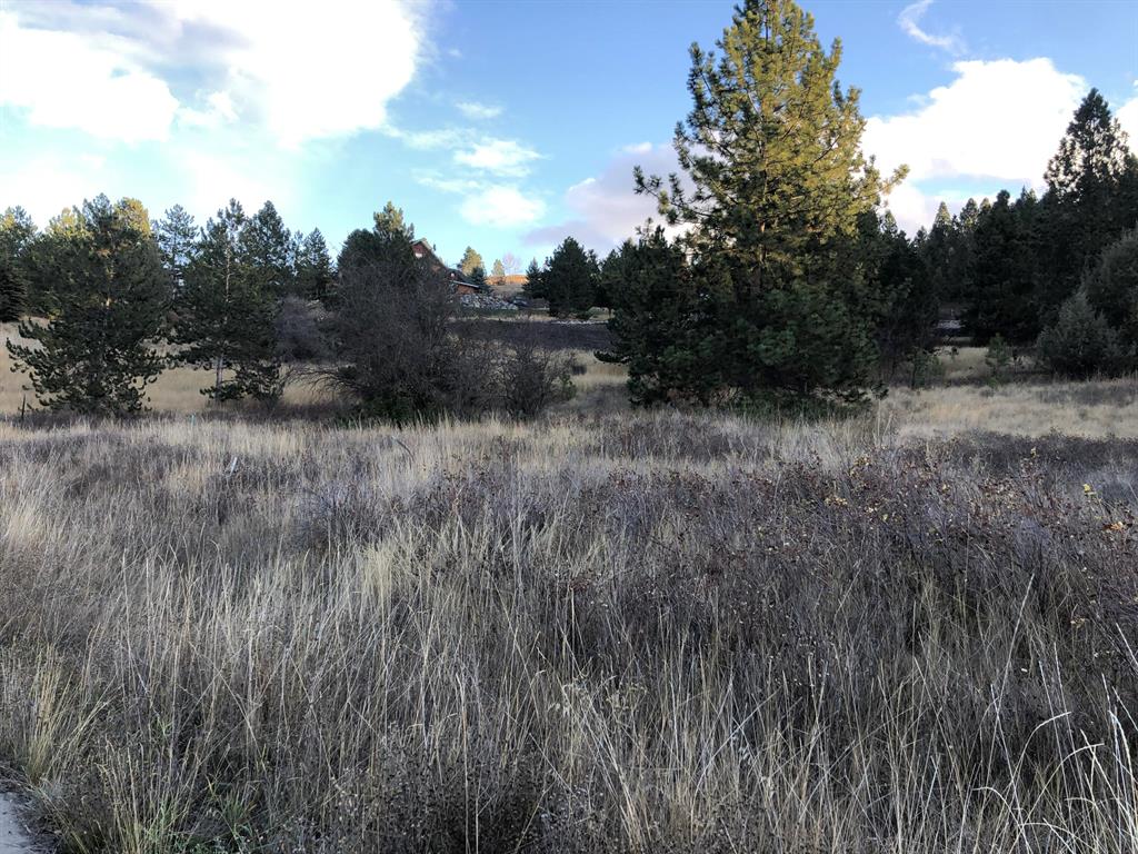 1504 15th Avenue E Property Photo 2