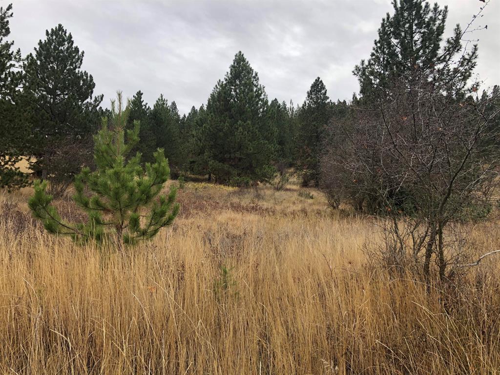 1504 15th Avenue E Property Photo 6