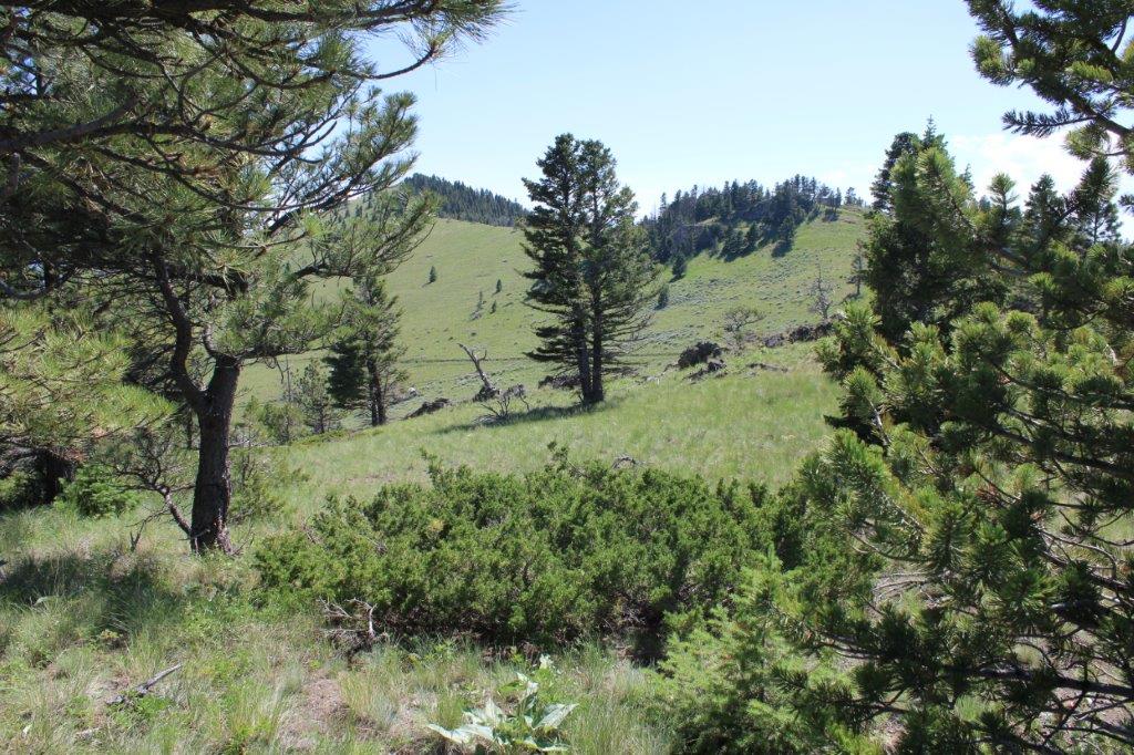 Tbd Black Canyon Lane Property Photo 1