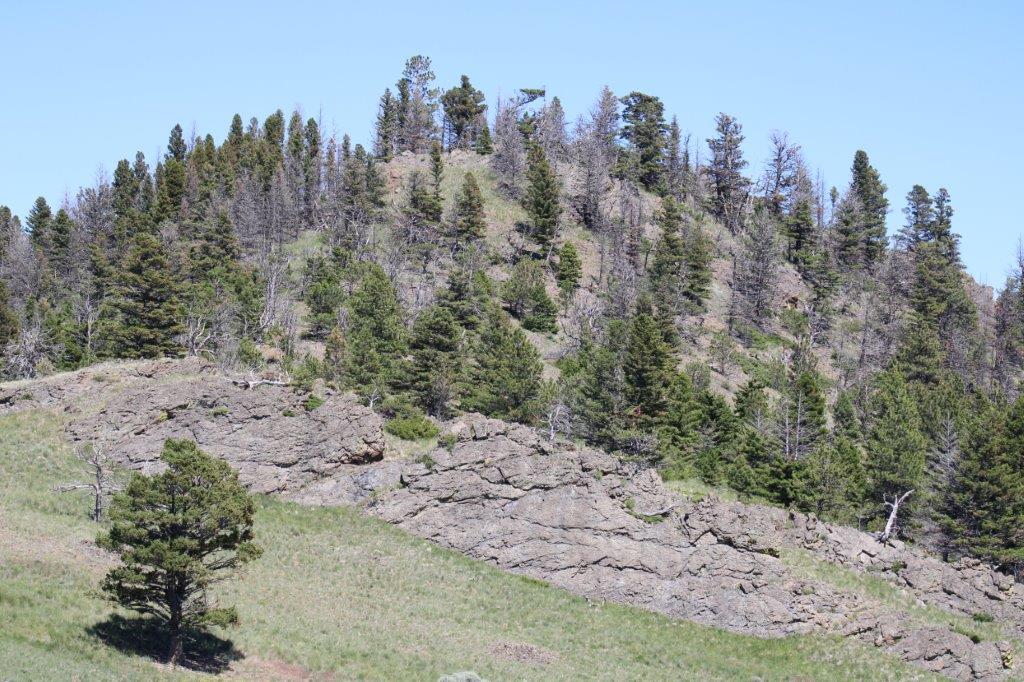 Tbd Black Canyon Lane Property Photo 2